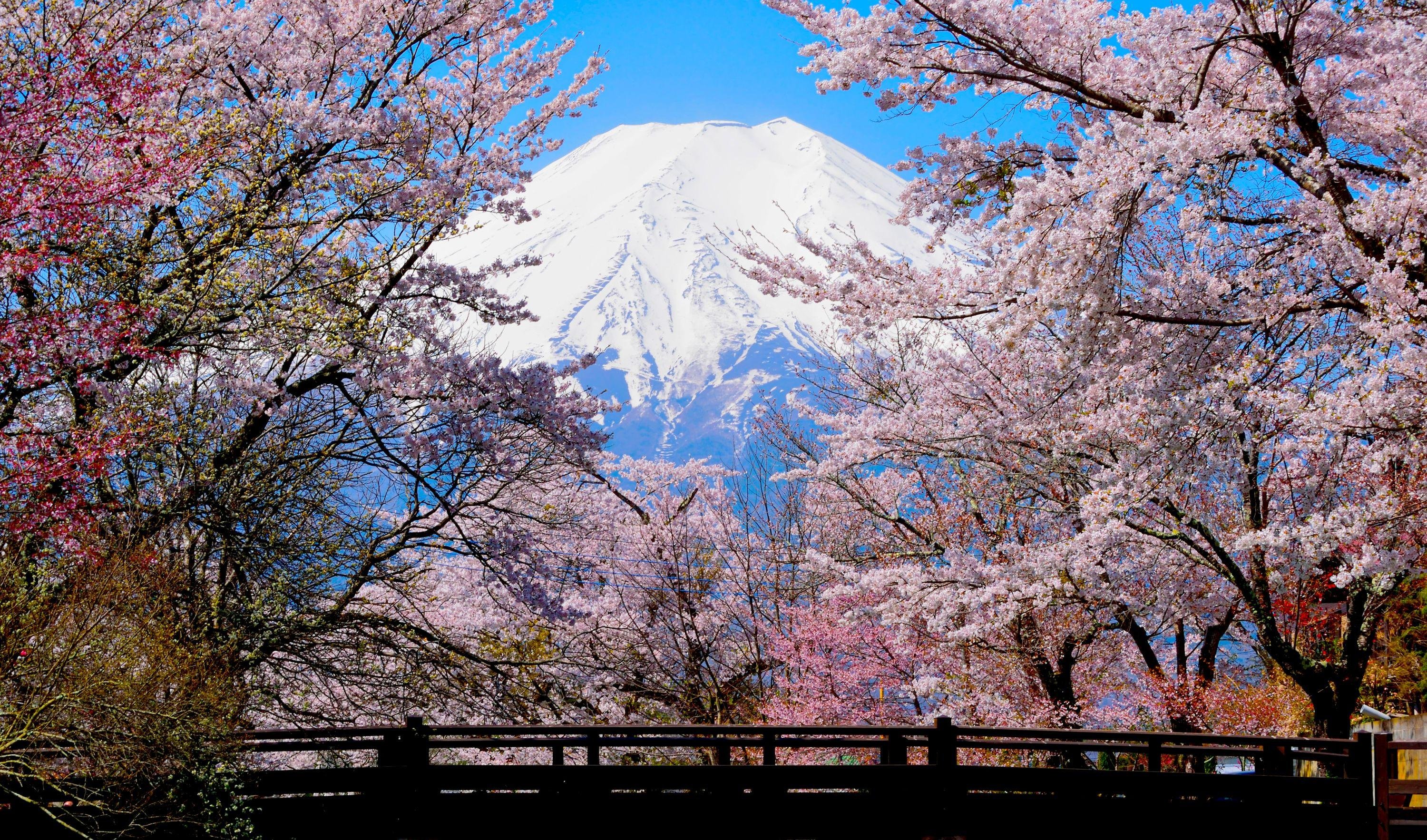 Mount Fuji Full-Day Tour from Tokyo: Two Routes, One Iconic Mountain