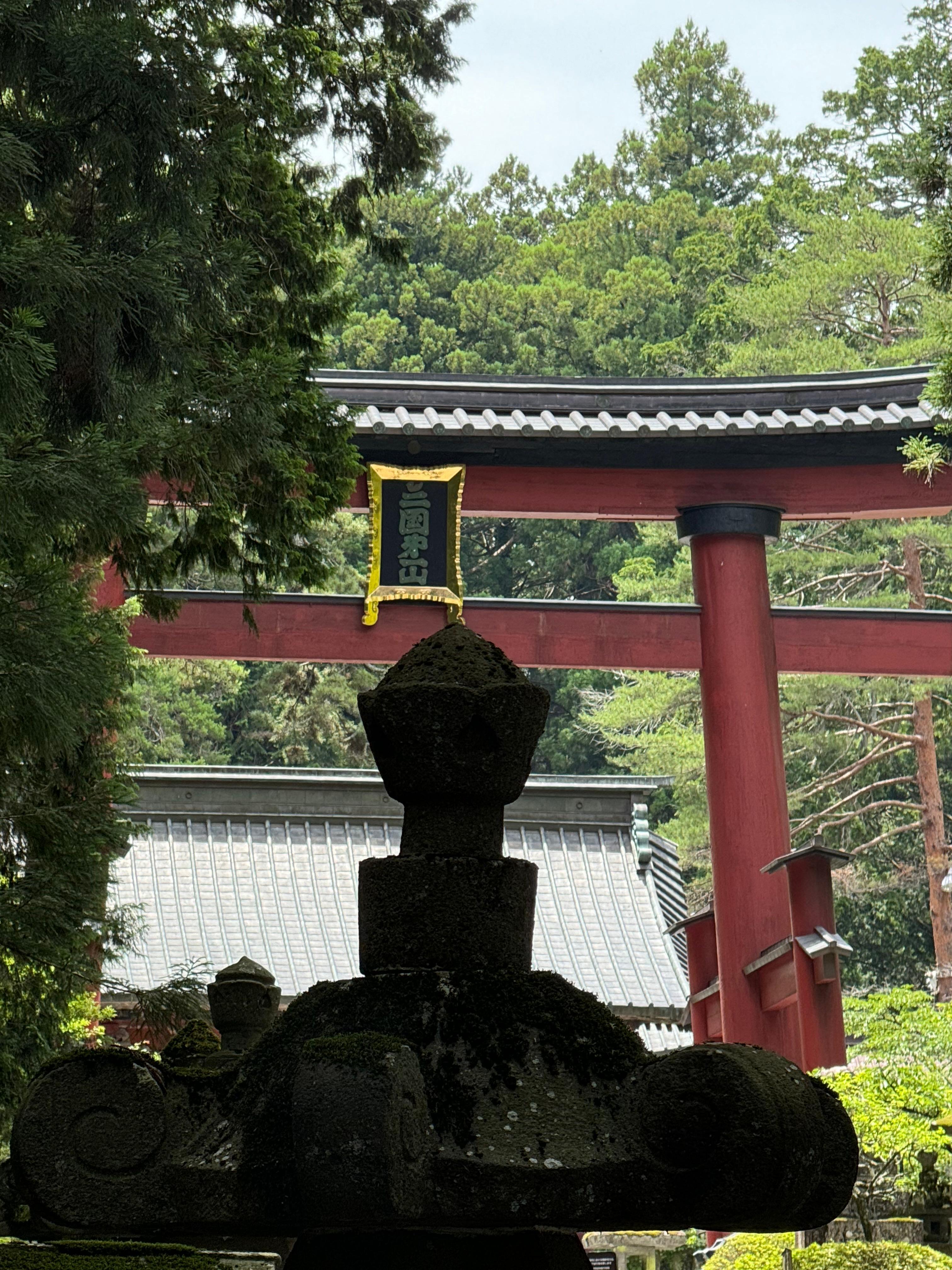 Tokyo to Mt. Fuji & Hakone: Private Full-Day Tour with English Driver