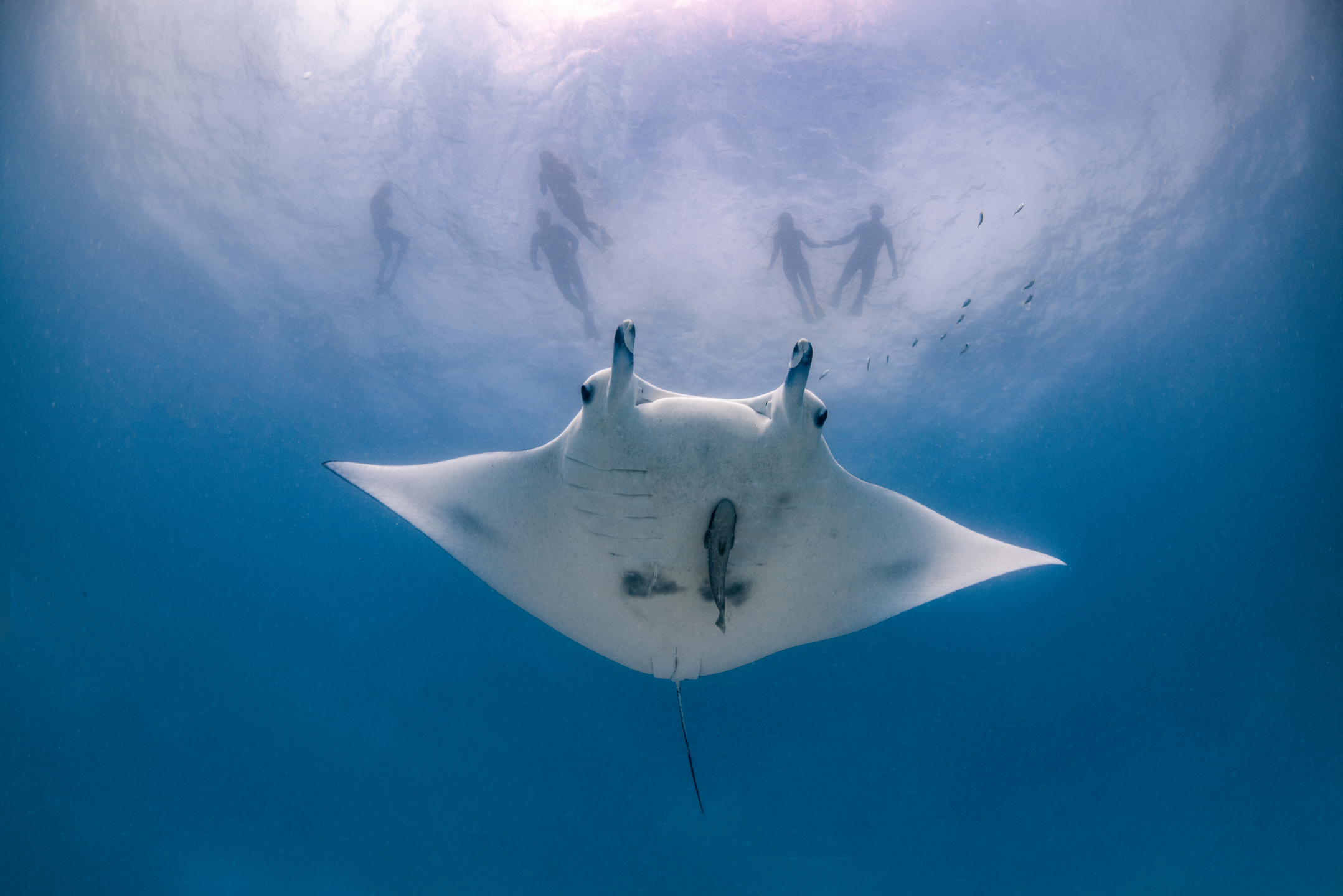 Komodo 6-Island Private Yacht Day Trip with Manta Ray Snorkeling