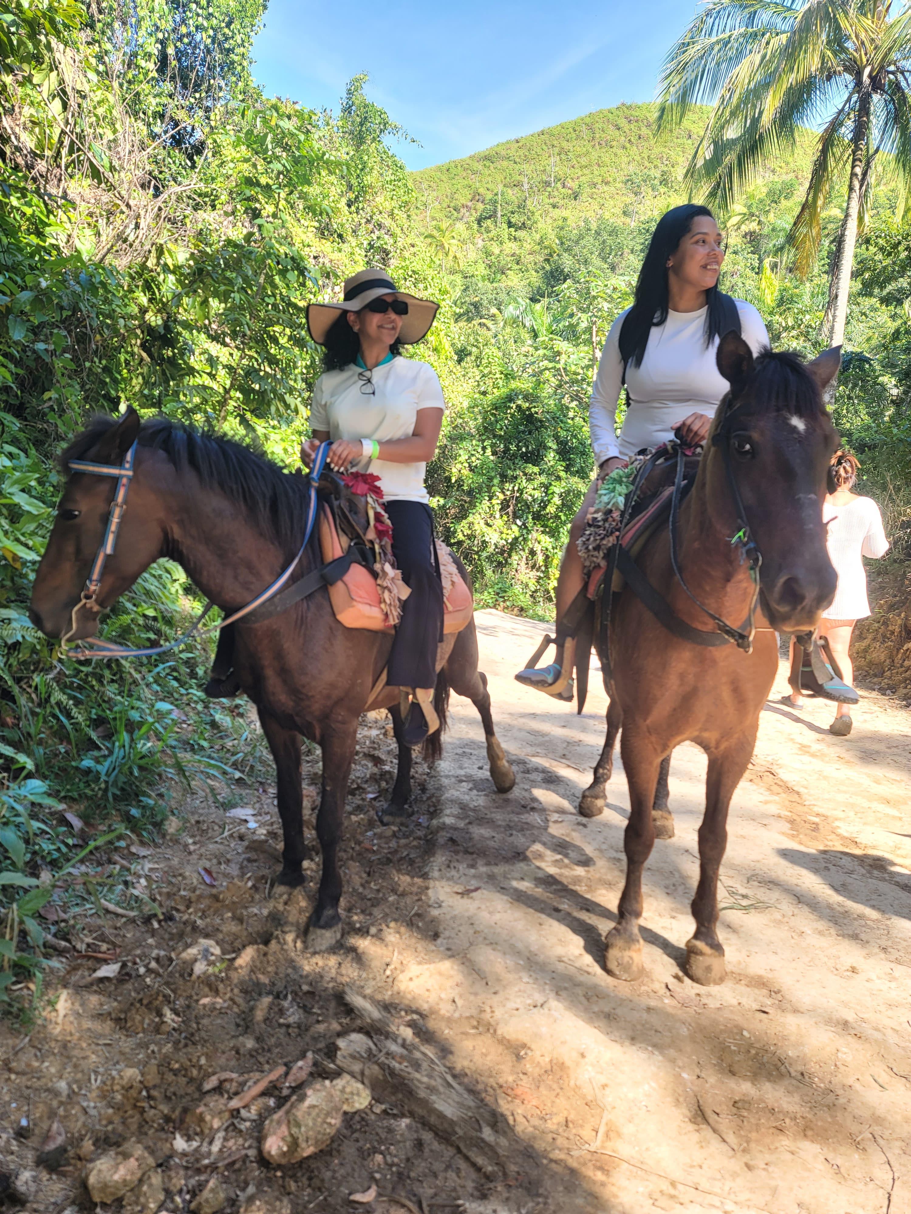 Samaná Bay & El Limón Waterfall Full-Day Adventure