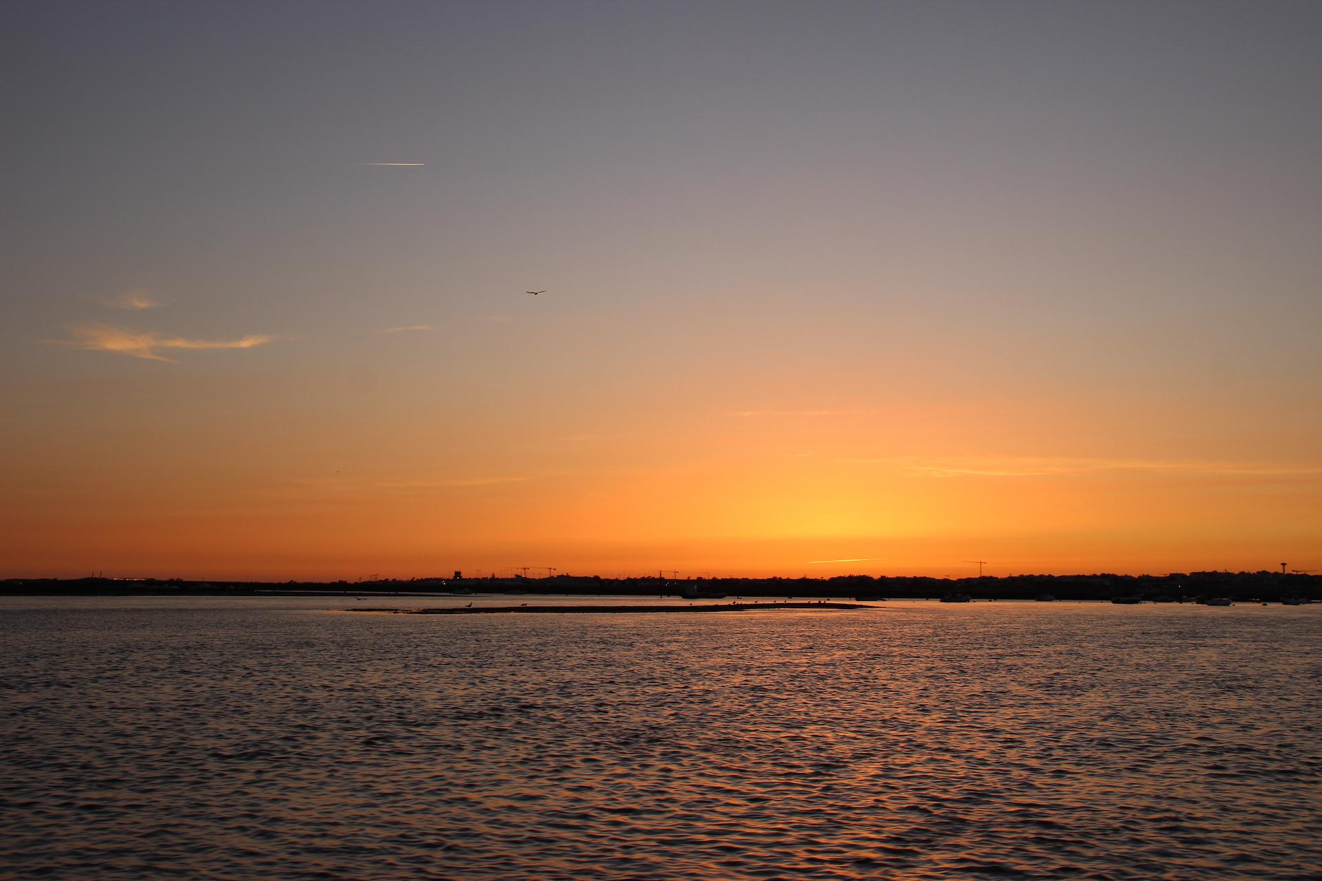 From Faro: Ria Formosa Sunset Boat Trip