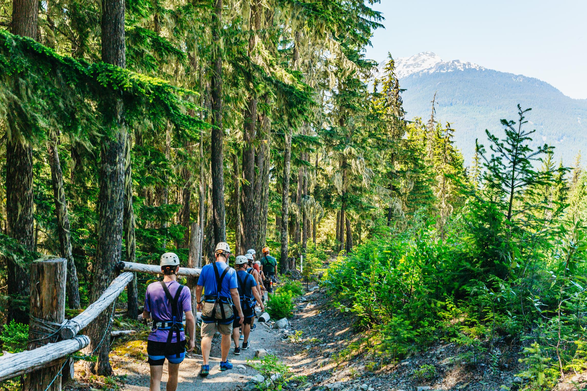 Whistler zipline experience with Ziptrek — flying across the Fitzsimmons Valley, British Columbia — image 3