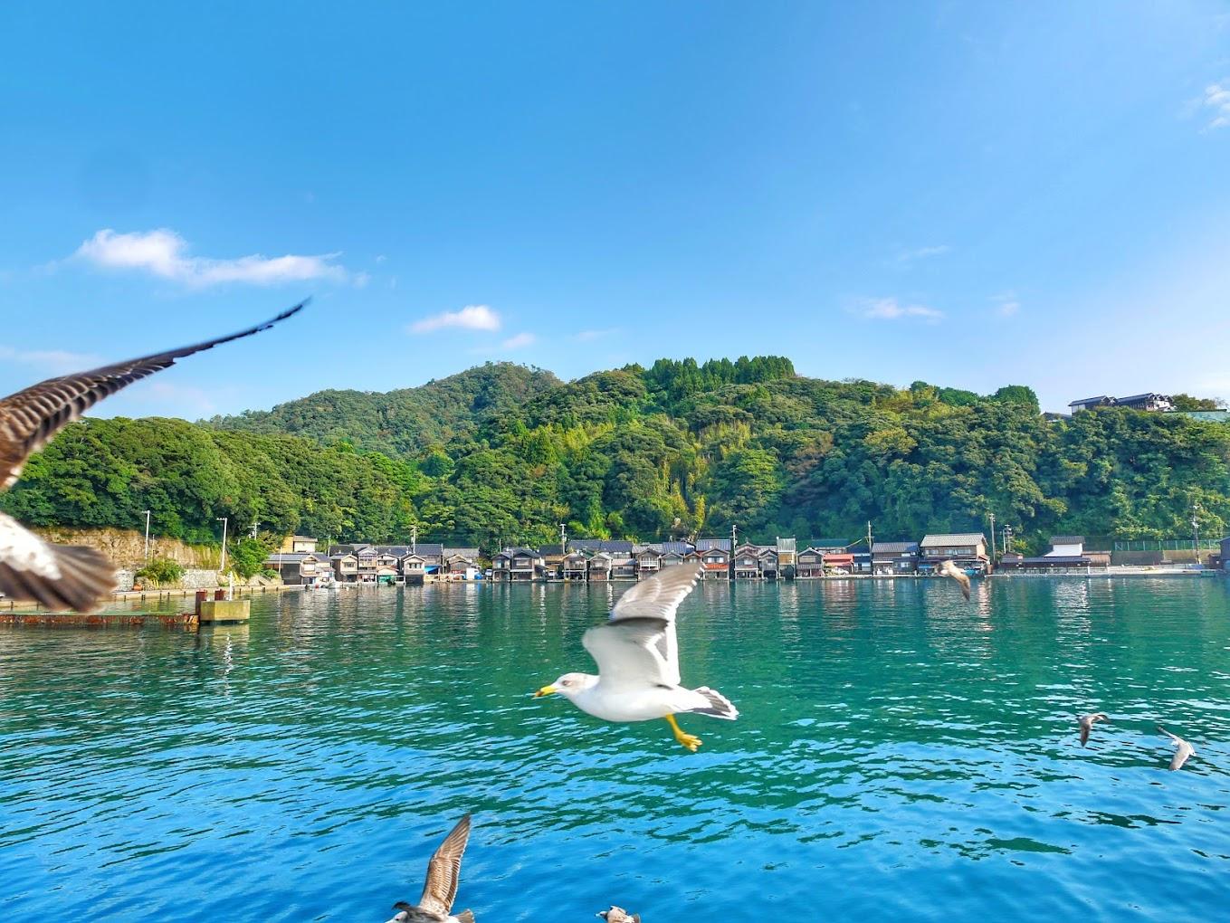 Ine Bay and Amanohashidate Scenic Day Tour from Kyoto or Osaka
