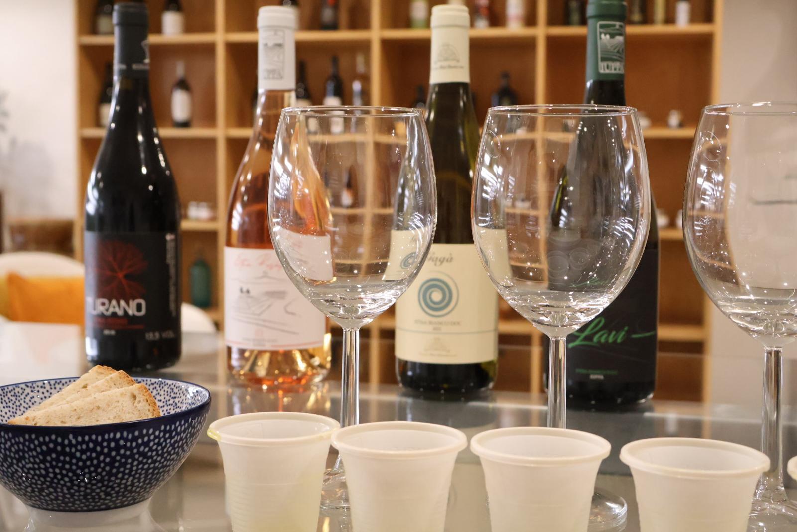 Etna Wine & Olive Oil Tasting from Giardini Naxos