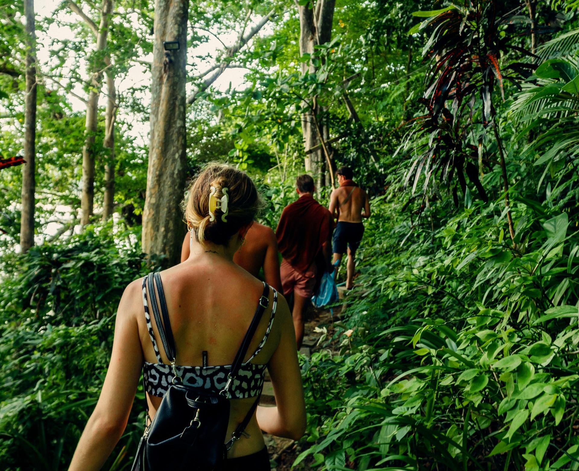 Private Waterfalls & Wildlife Trek in Khao Sok