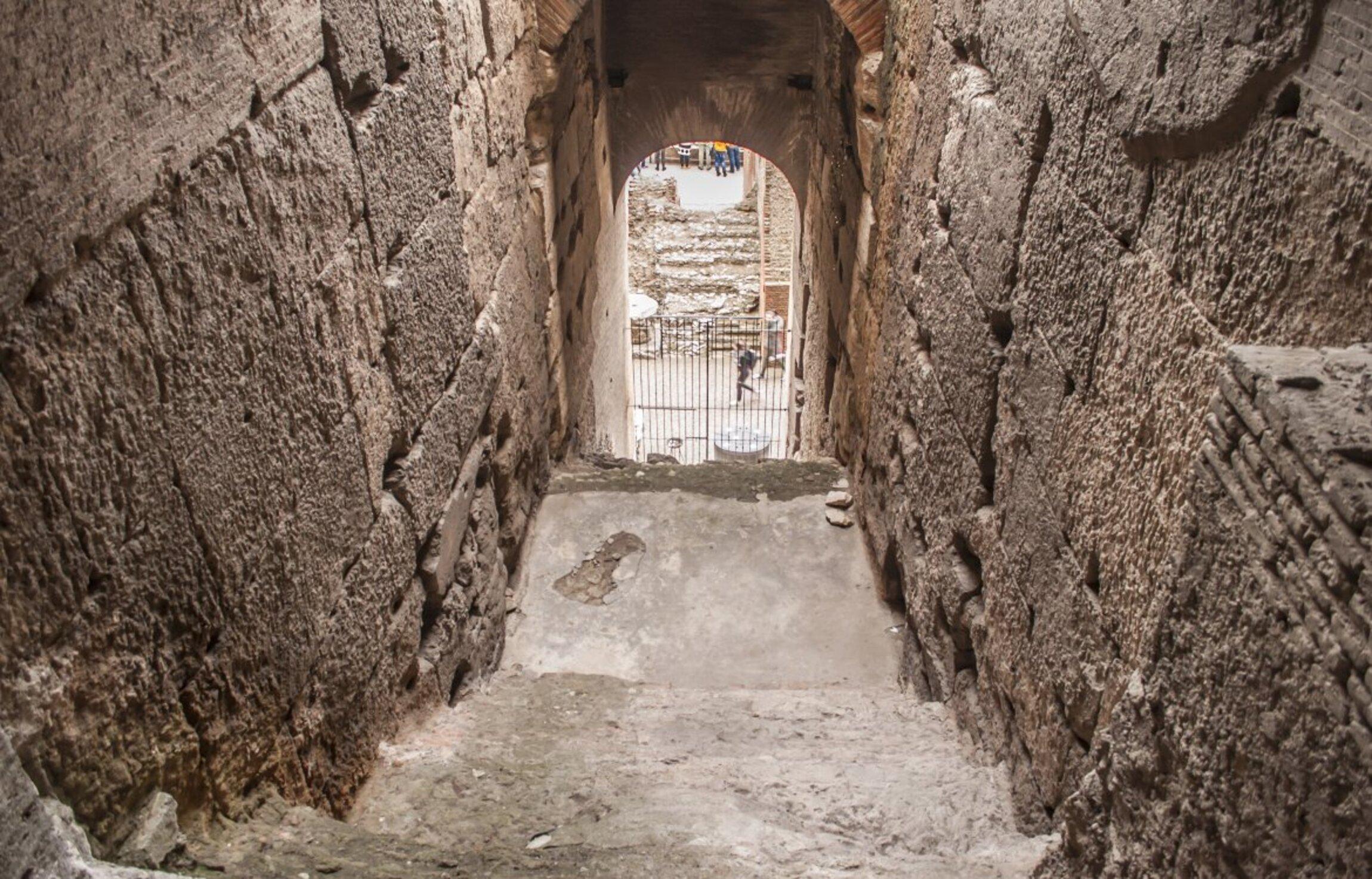 Rome Private Colosseum Underground & Dungeons Tour
