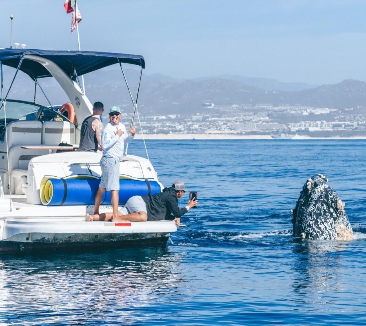 Cabo Private Yacht Experience: Arch, Snorkeling & Gourmet Bites