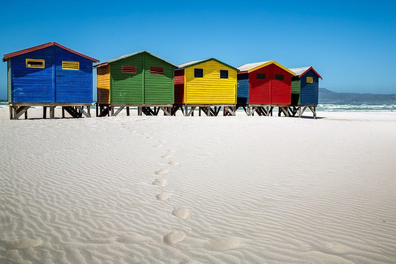 Cape Town Full-Day Tour: Table Mountain, Cape Point & Penguin Colony