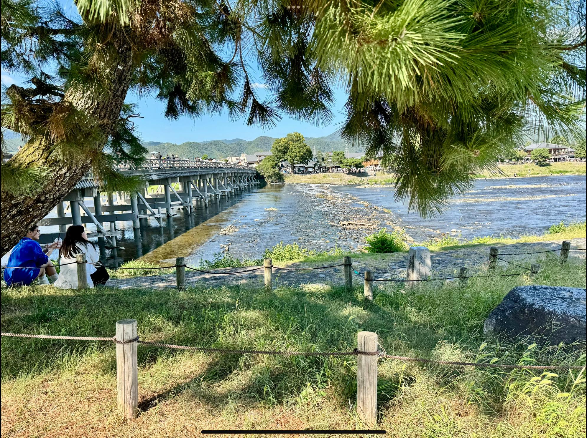 嵐山ガイド付きウォーキングツアー：竹林、禅寺、モンキーパーク