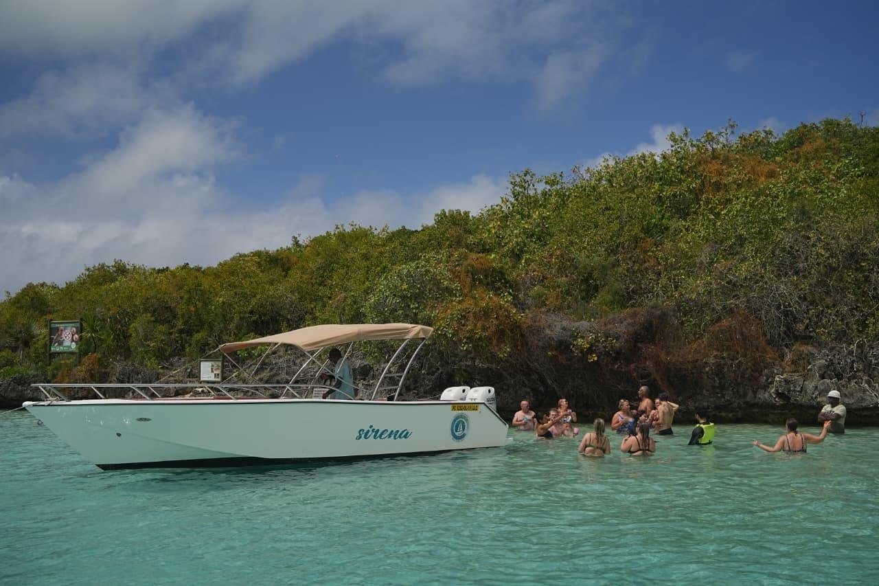 Guests swimming beside the speedboat near a green island shore