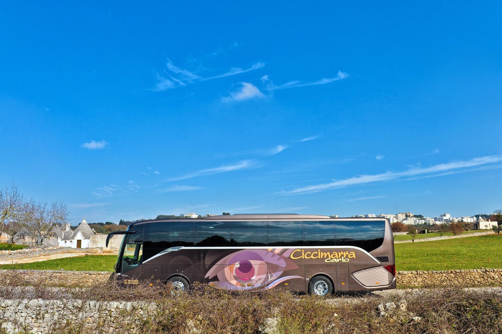 Matera & Alberobello Day Tour from Valle d'Itria