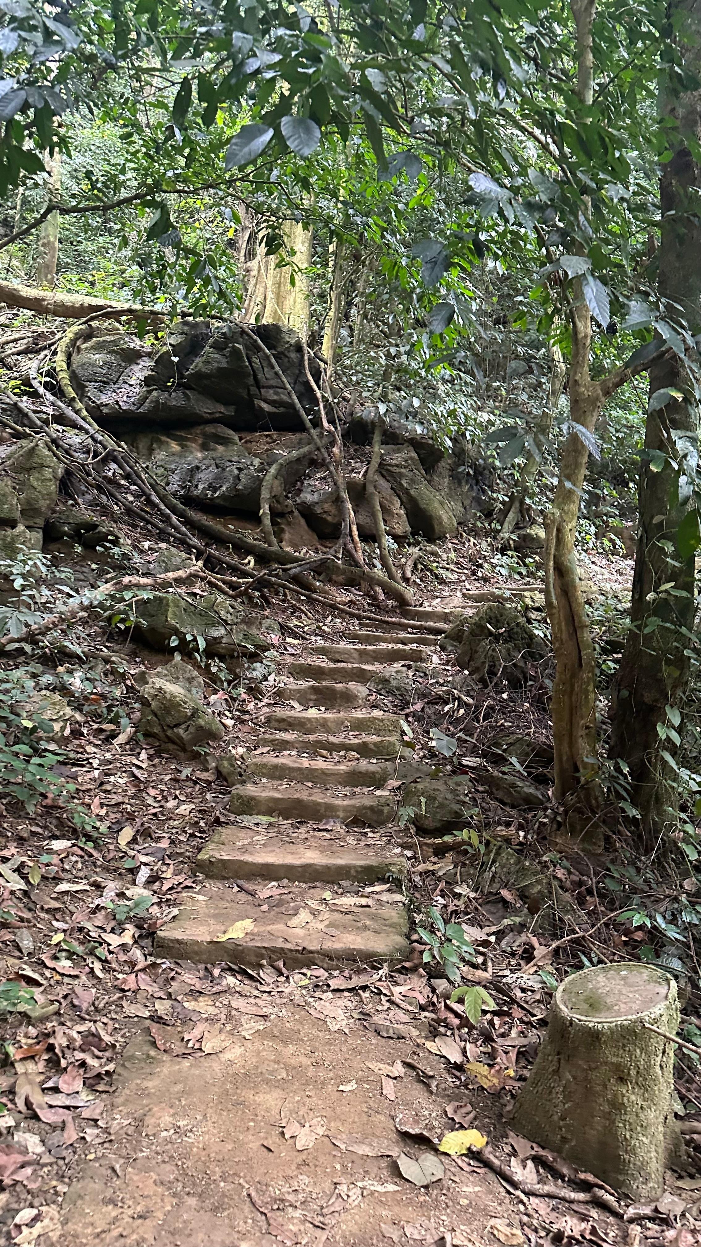 Cuc Phuong National Park Day Trek & Bear Sanctuary from Ninh Binh