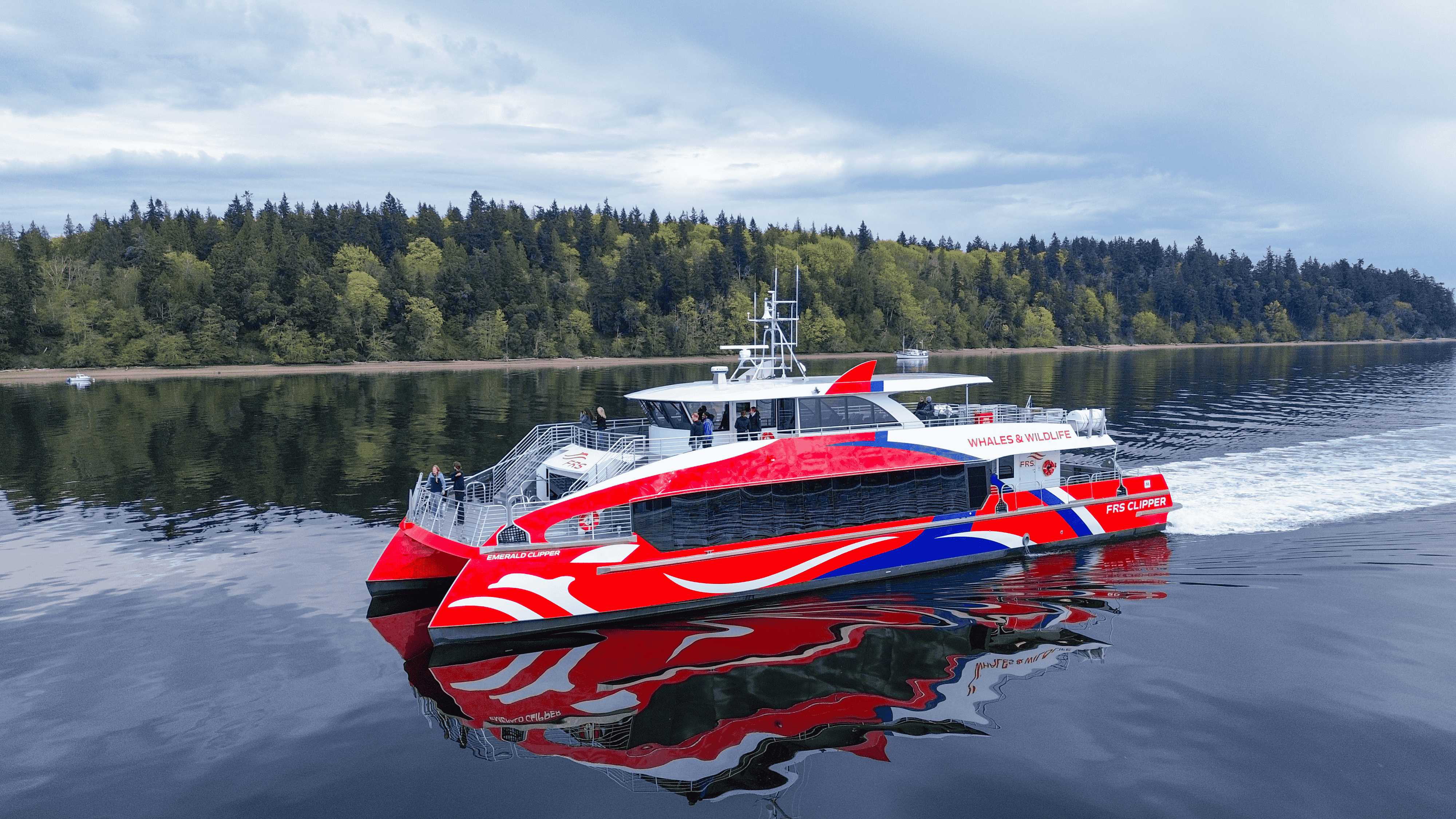 Seattle: Indigenous-Led Whale Watching Tour with Tea Tasting