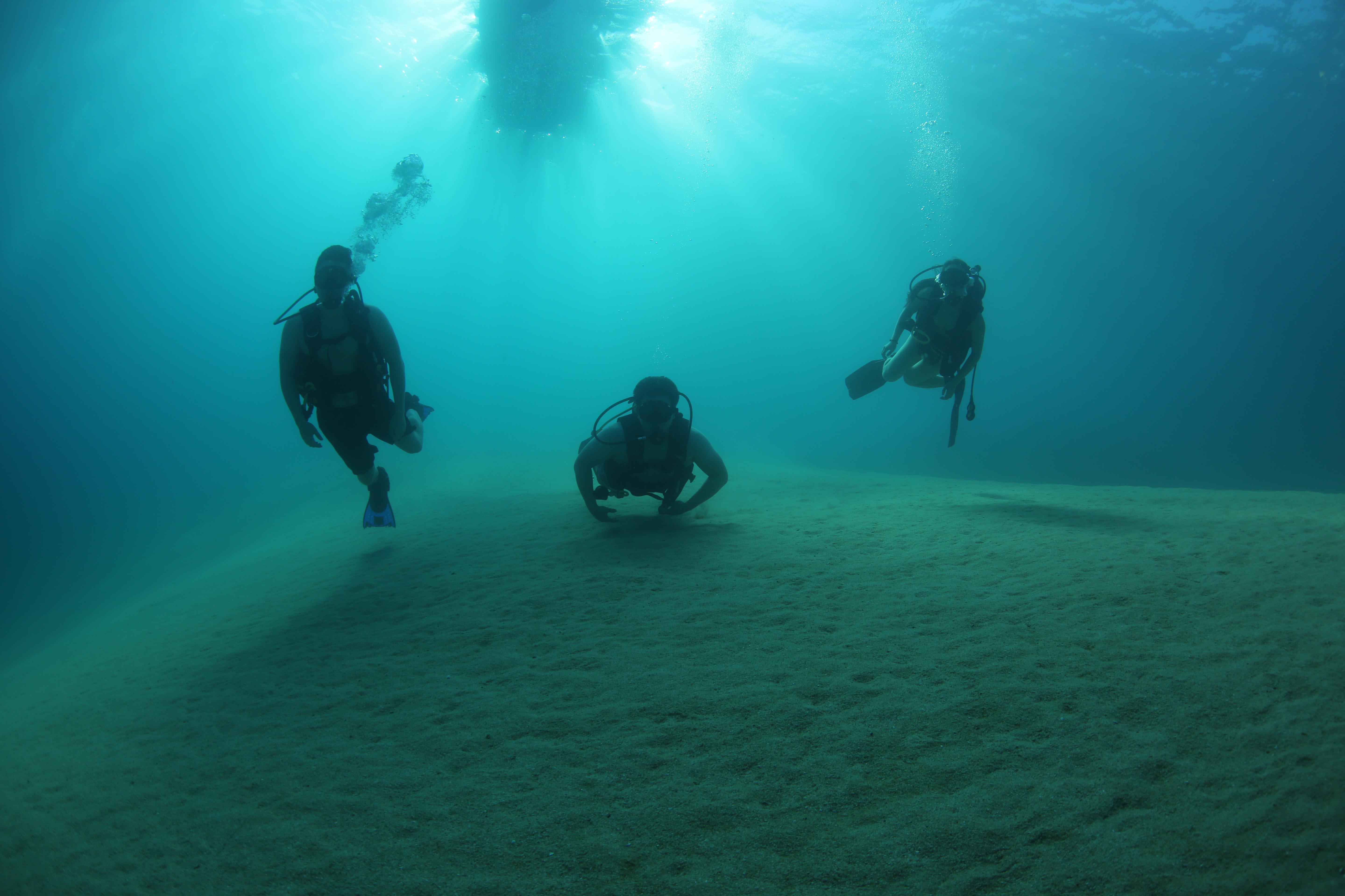 Cabo San Lucas Marine Park: Two-Tank Scuba Diving Adventure