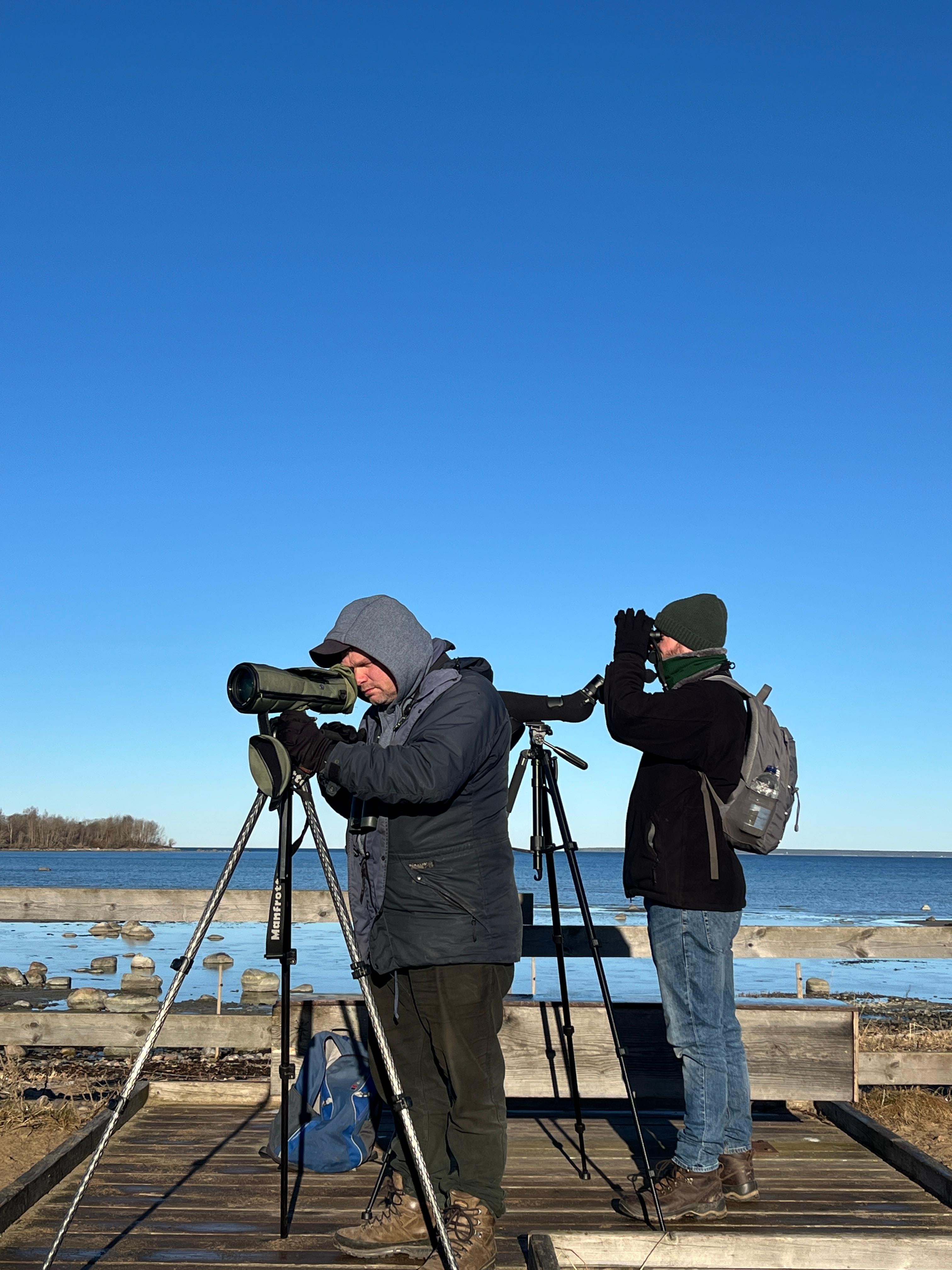 Tallinn: Birdwatching and Abseiling Tour with Picnic
