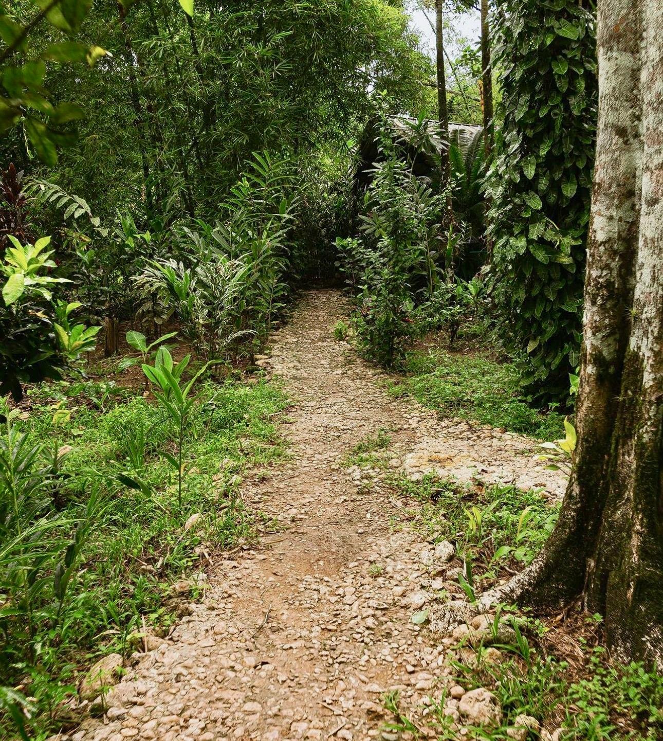 Dominican Republic 3-in-1: Los Haitises, Yanigua Falls & Montaña Redonda