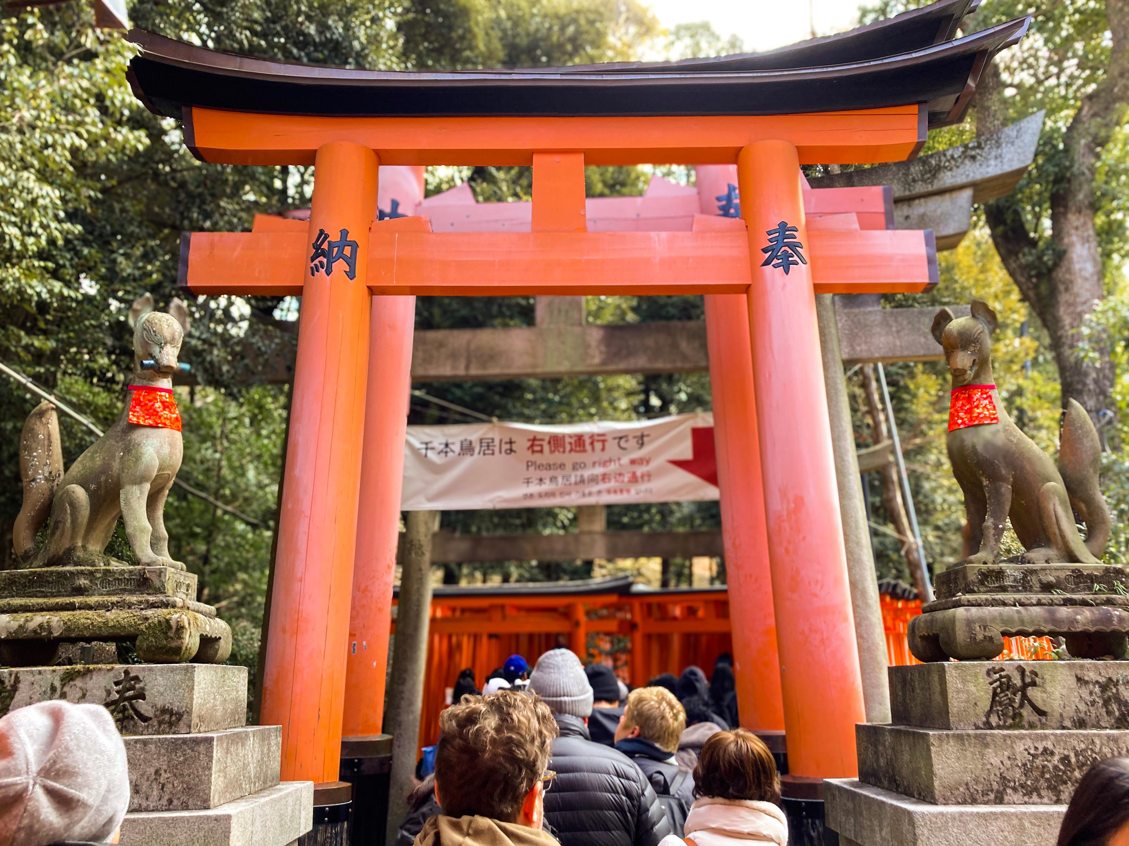 Fushimi Inari Night Walk with Local Guide