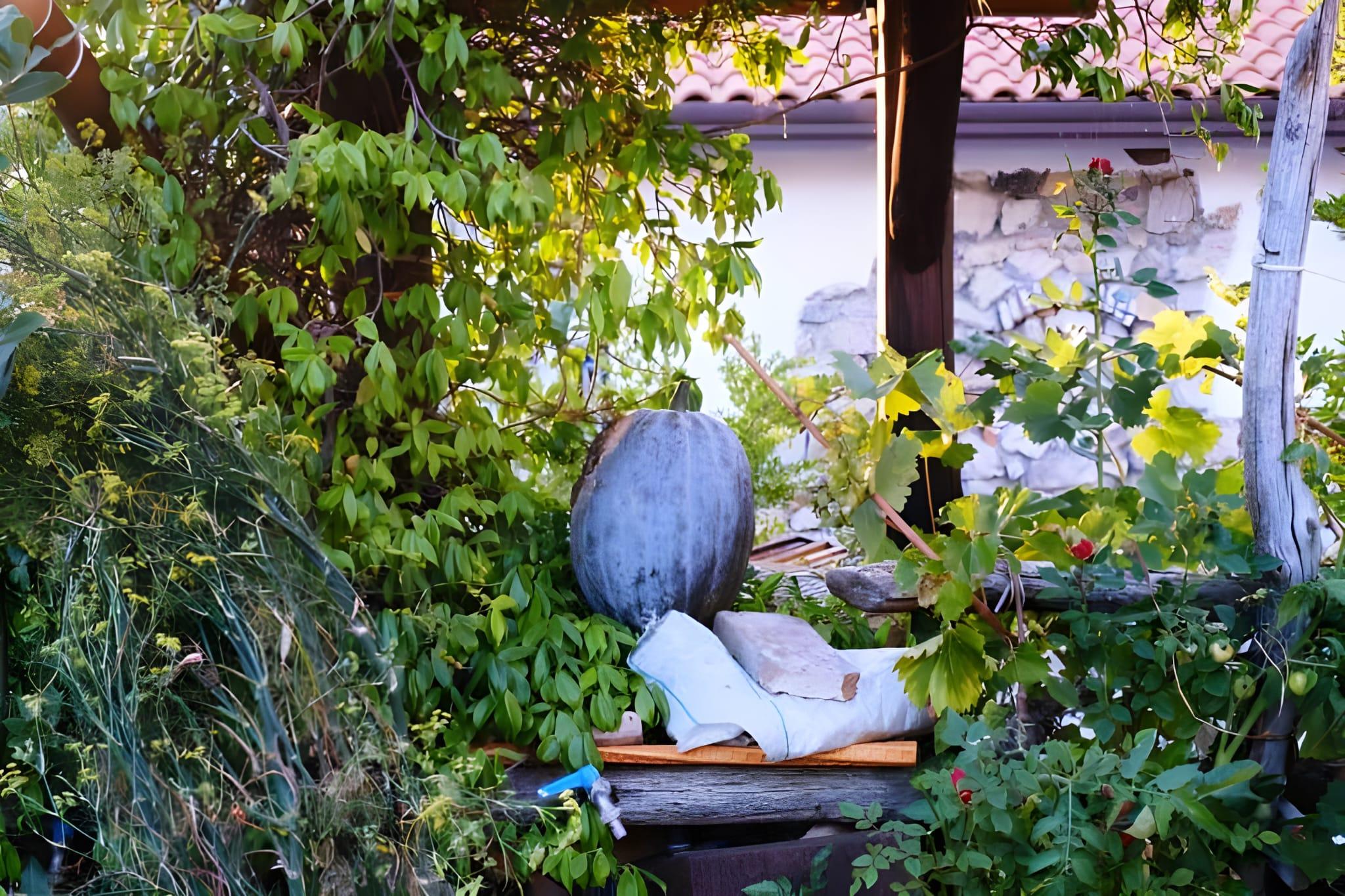 cooking class in Amalfi — photo 76