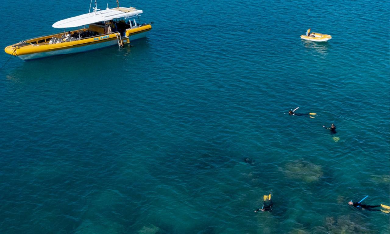Whitsundays Full-Day: Whitehaven Beach, Hill Inlet & Reef Snorkel