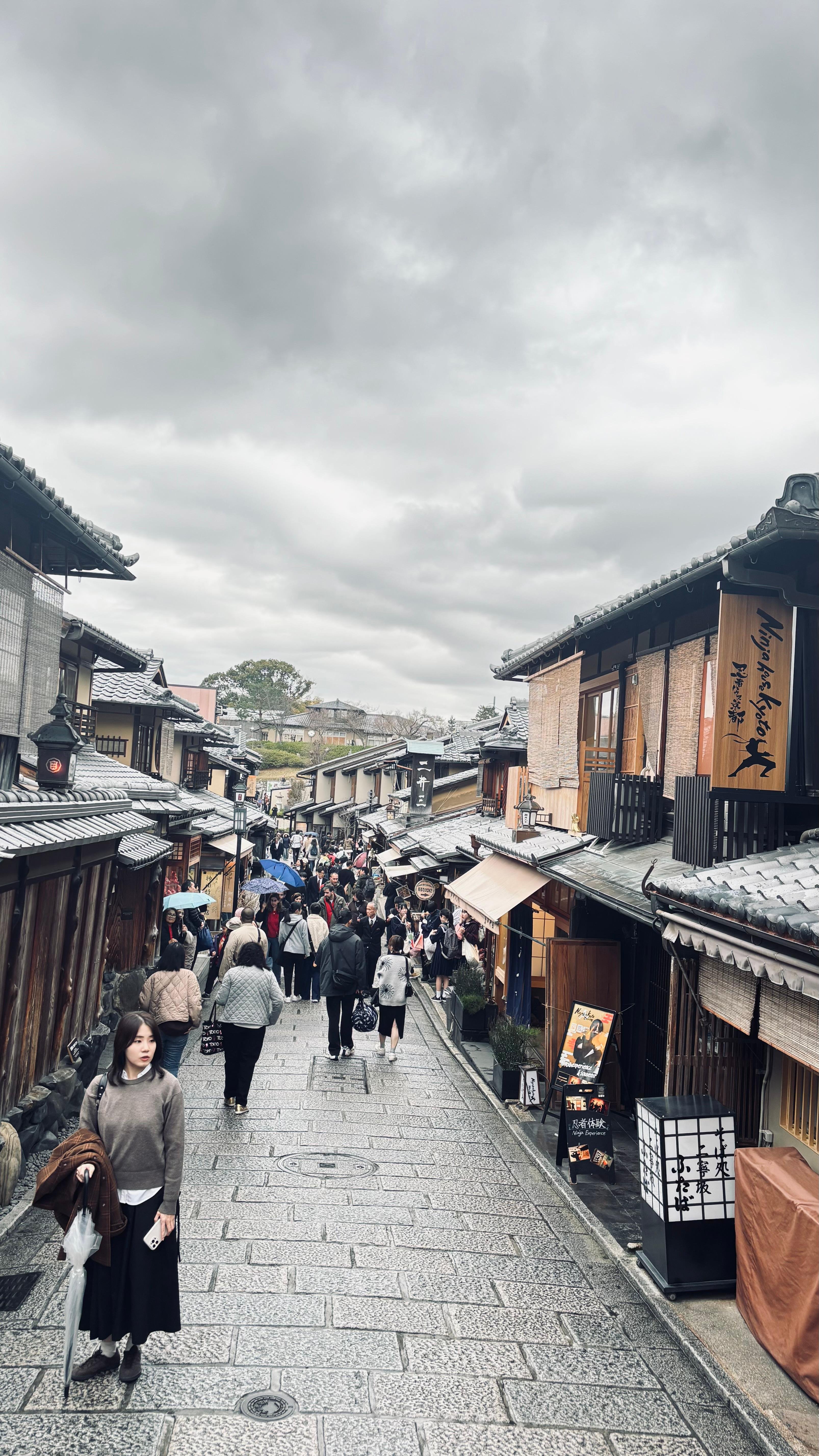 Kyoto & Nara Bespoke Private Day Tour from Osaka or Kyoto