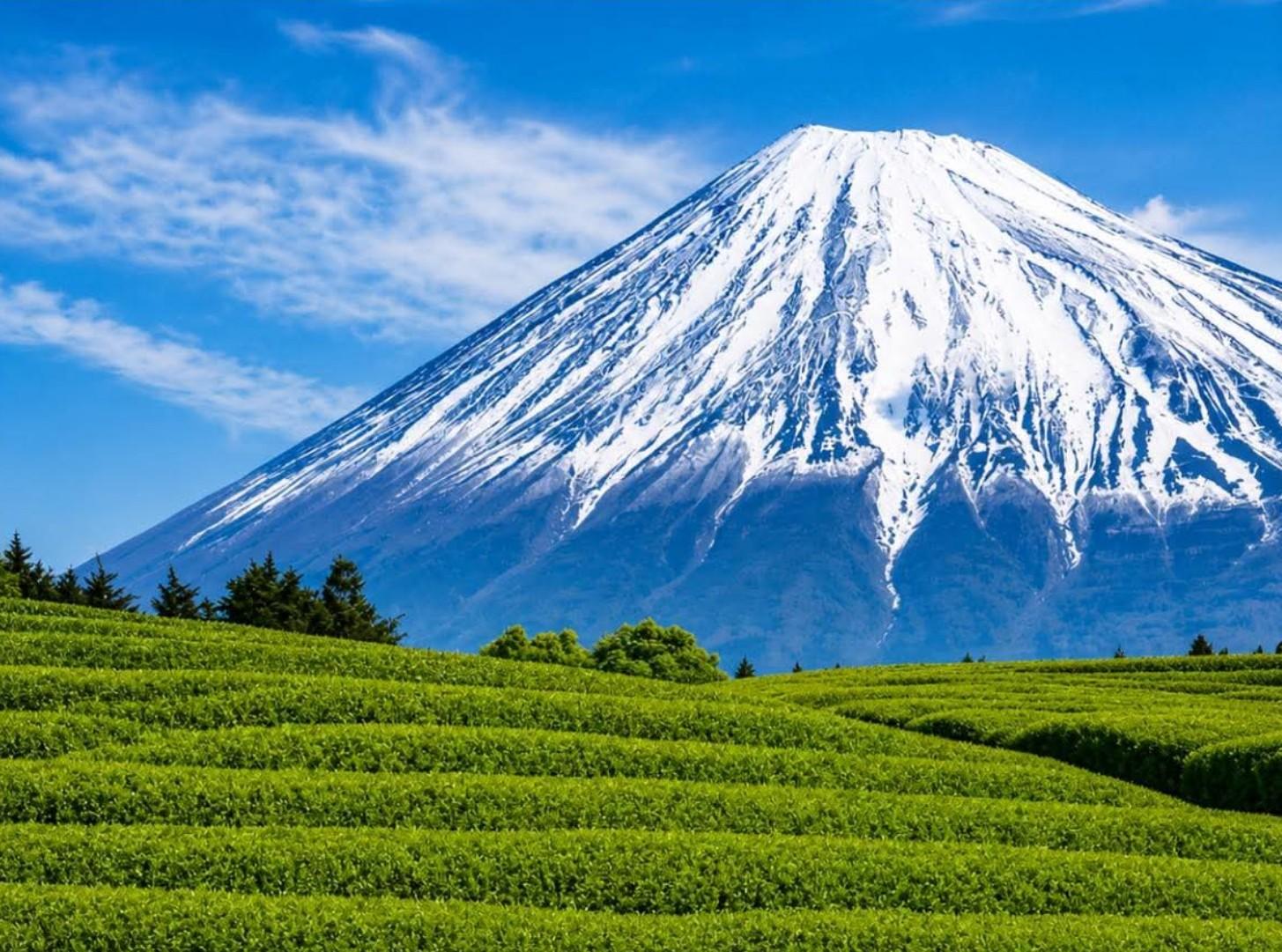 Custom Mt. Fuji & Hakone Private Full-Day Tour from Tokyo