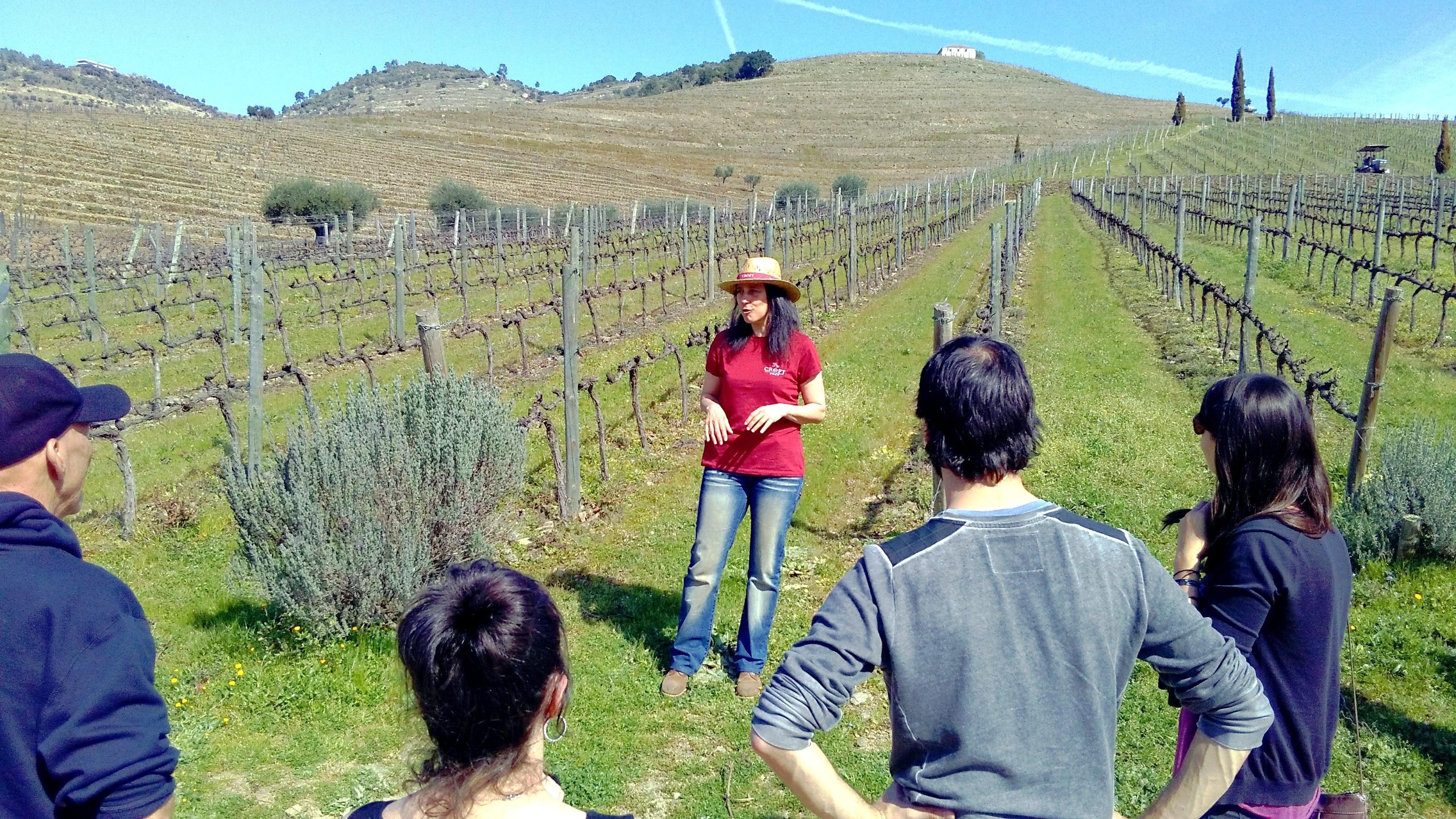 olive oil tasting in Douro Valley — photo 2