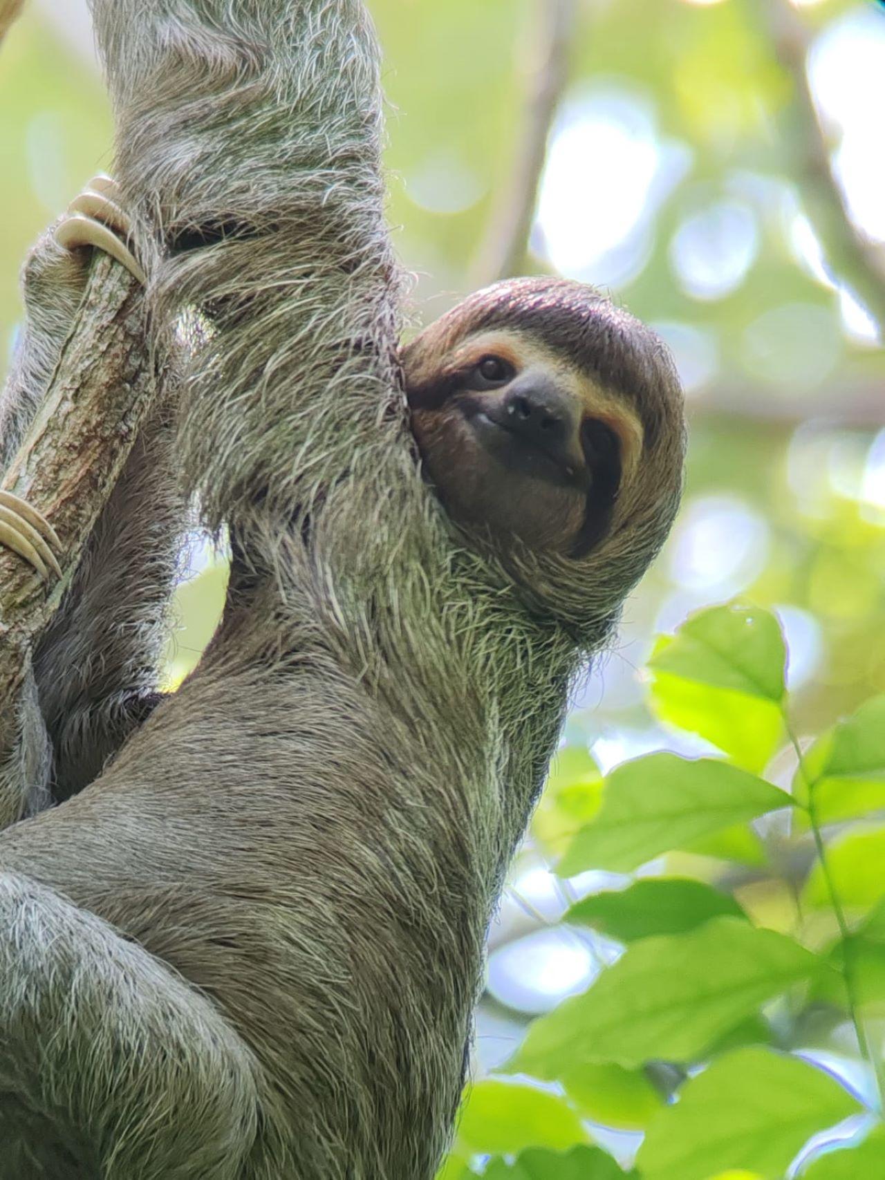 Manuel Antonio National Park: Expert-Guided Wildlife Hike