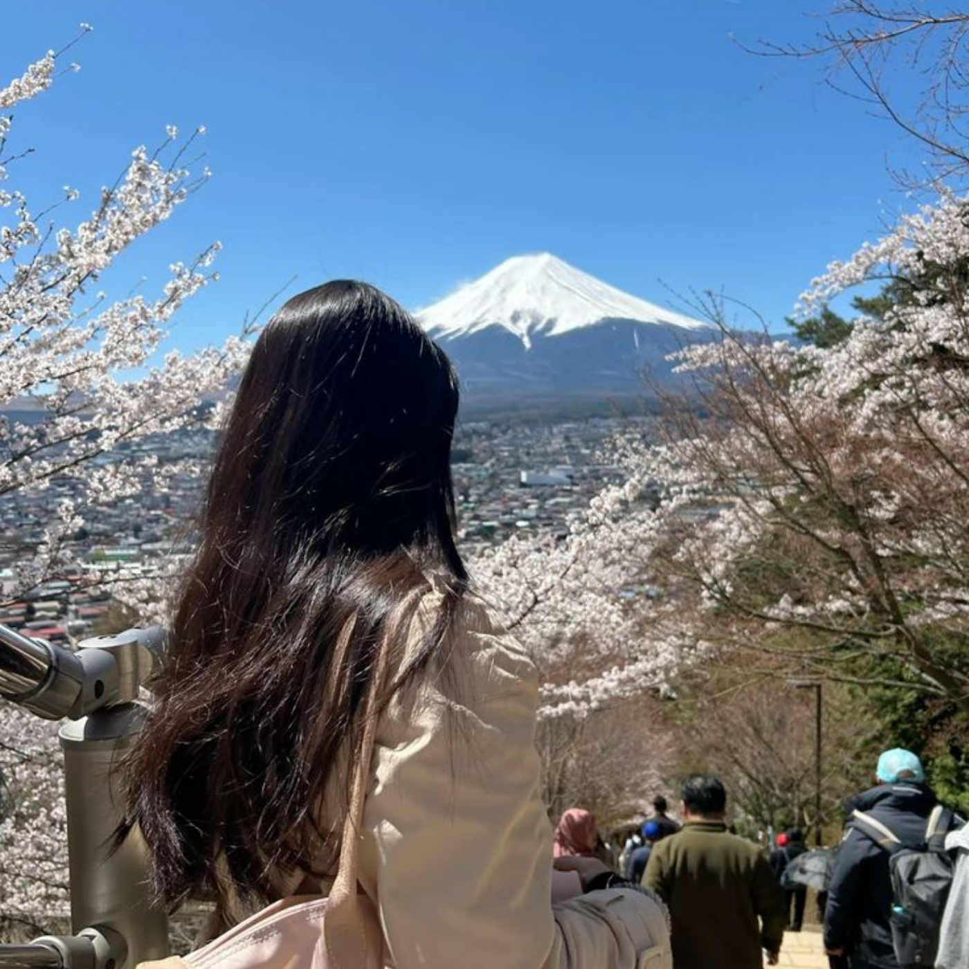 Private Mount Fuji & Hakone Day Tour from Tokyo