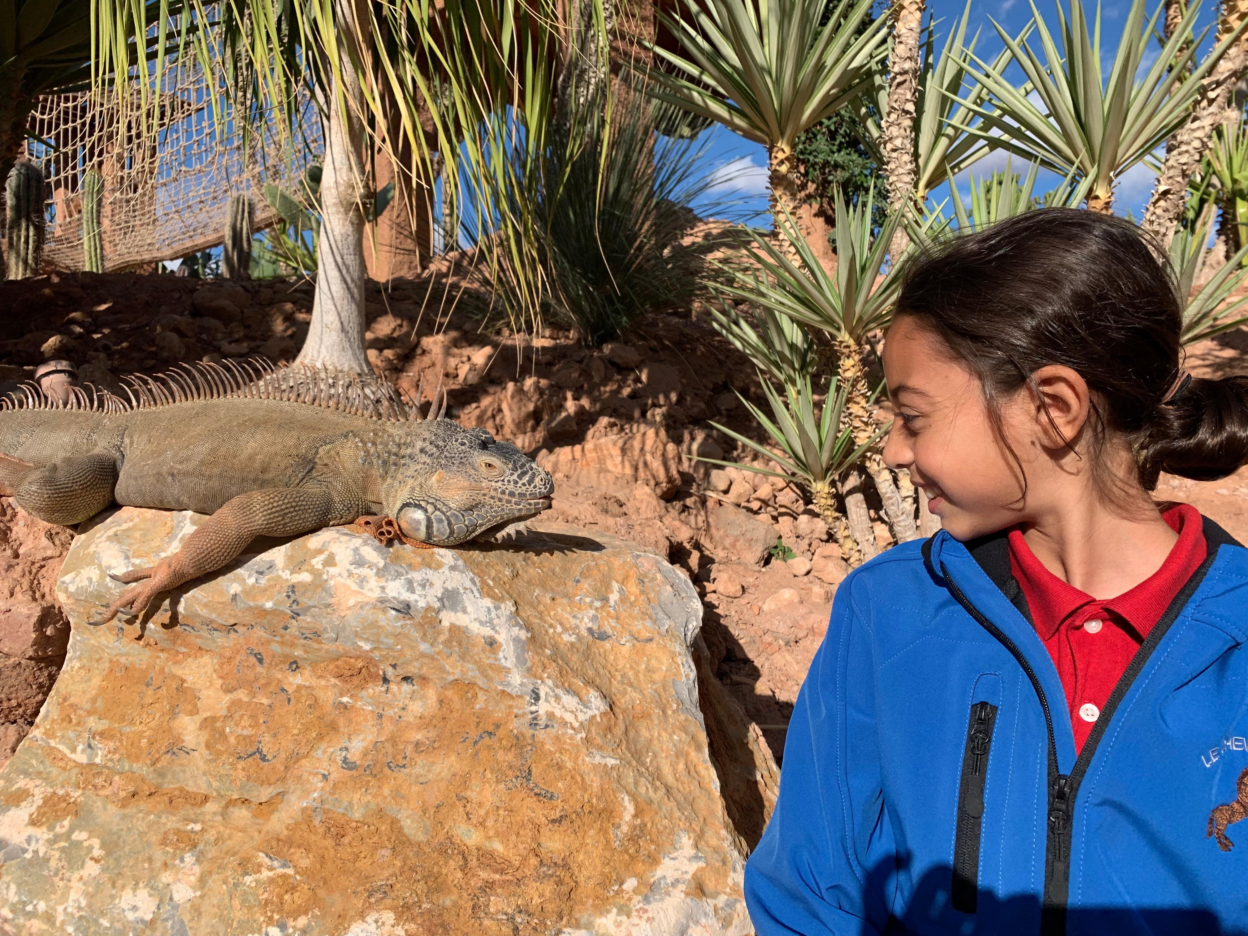 Agadir: Crocoparc Skip-the-Line Admission