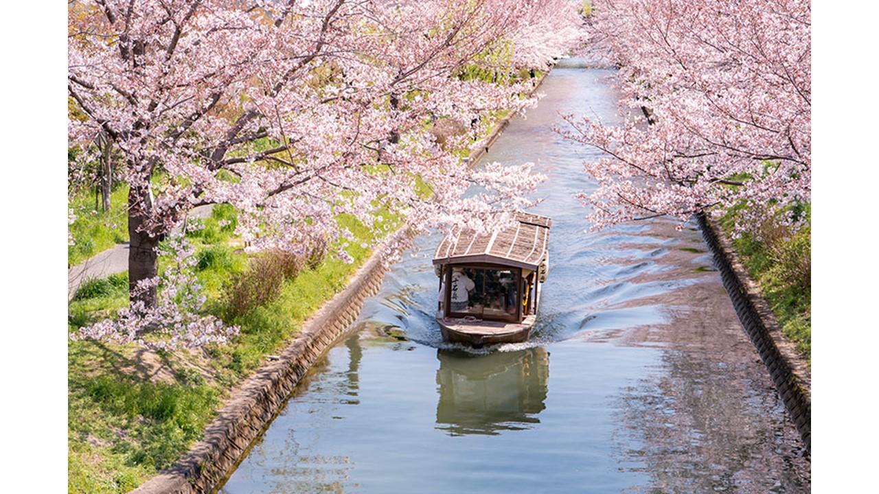 Kyoto: Privat heldagstur til høydepunktene med bil og guide