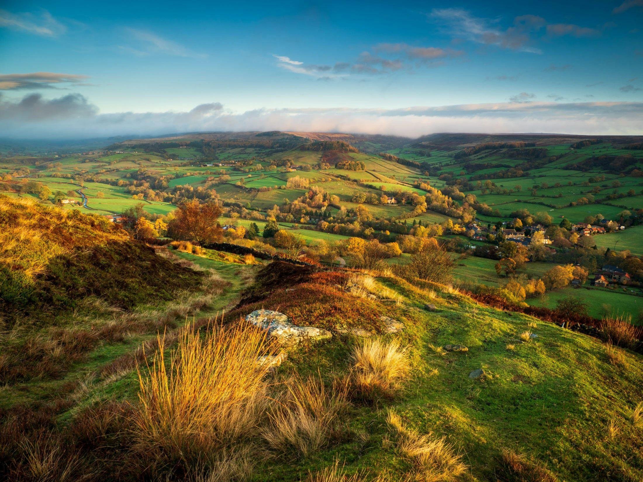 Yorkshire Moors & Whitby Small-Group Day Tour from York
