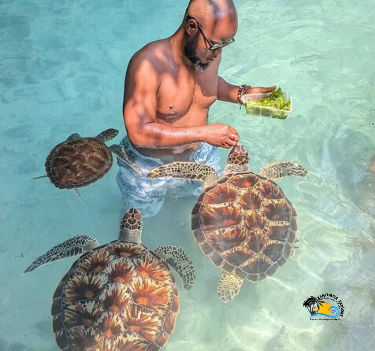 Zanzibar: Jozani Forest, Salaam Cave & The Rock Restaurant Day Tour