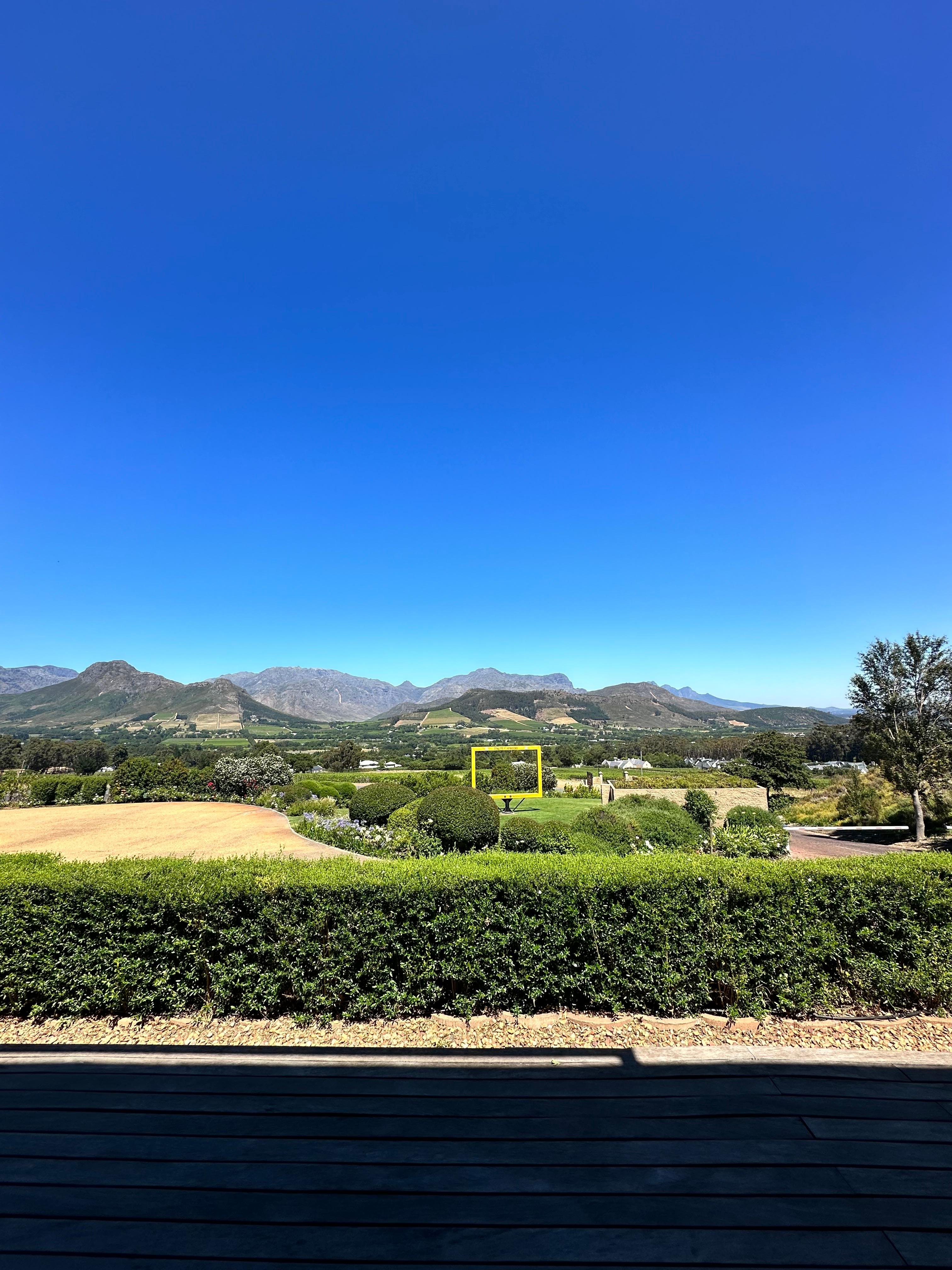 Cape Town Highlights: Table Mountain & Boulders Beach Full-Day Tour