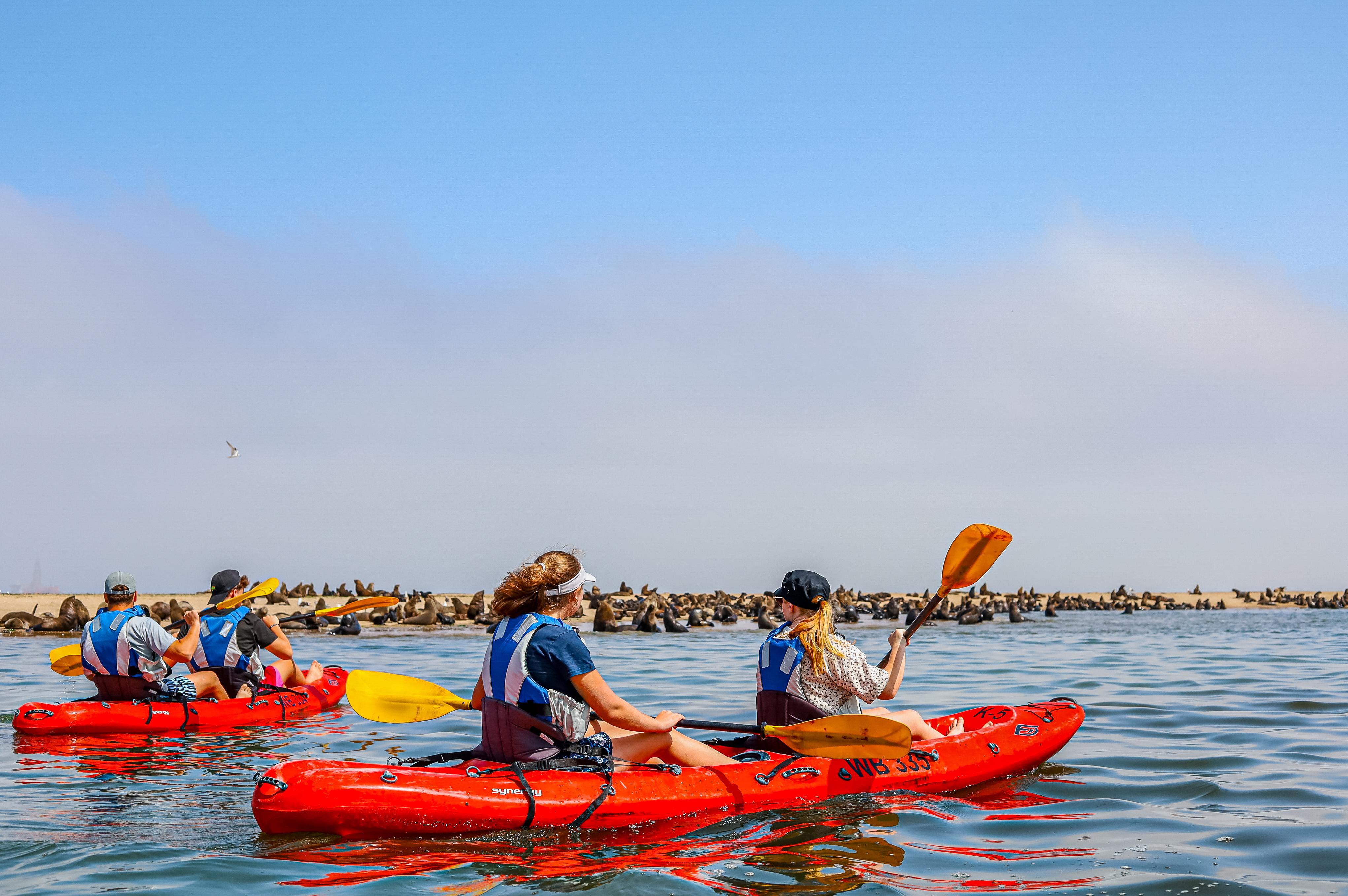 Pelican Point Seal Kayaking Adventure