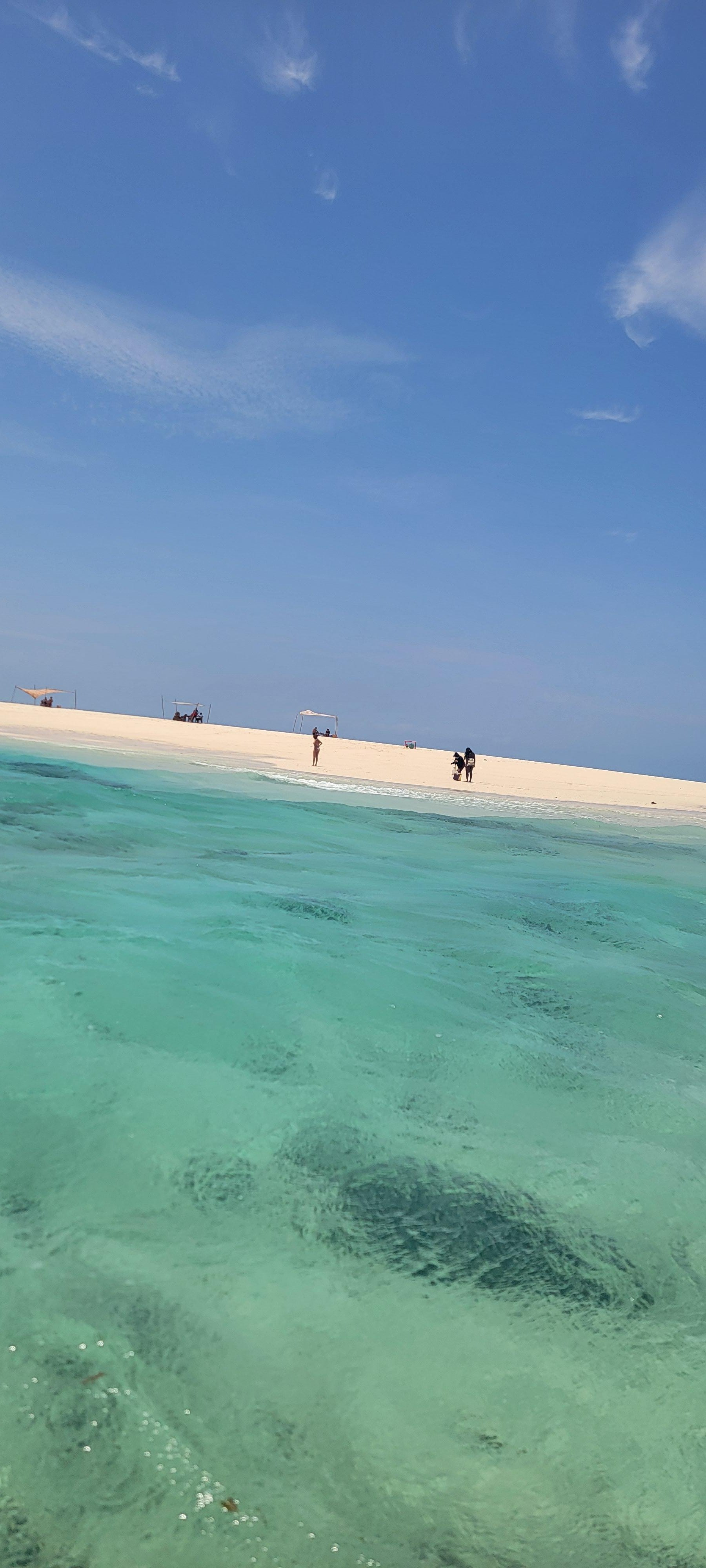 Safari Blue Zanzibar – Full-Day Shared Ocean Adventure
