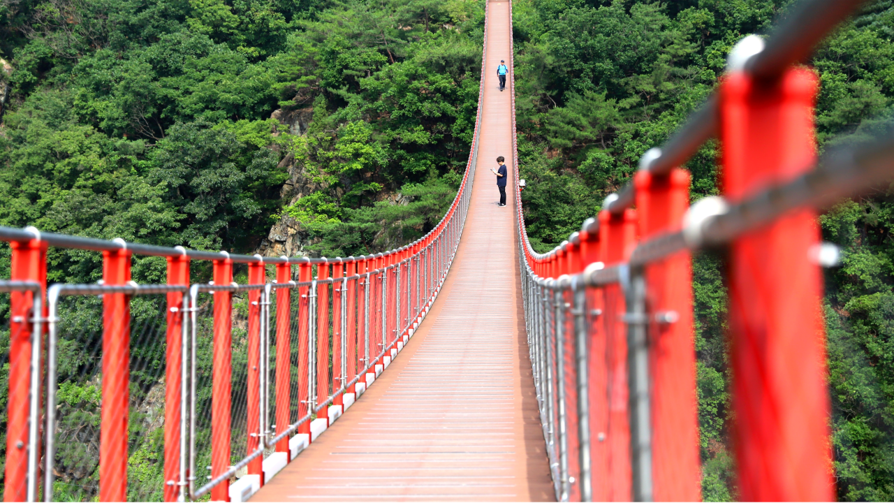 Seoul DMZ Tour: 3rd Infiltration Tunnel & Gamak Suspension Bridge