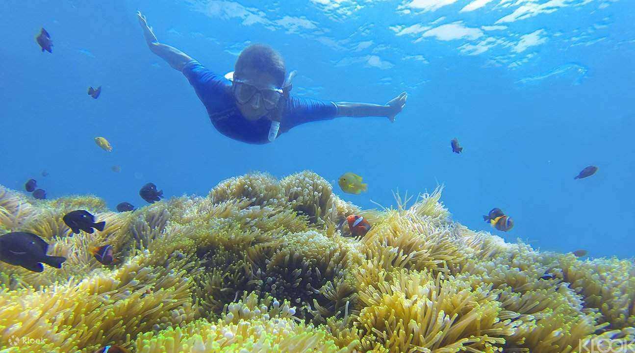 Private 4-Site Snorkeling Adventure in Amed