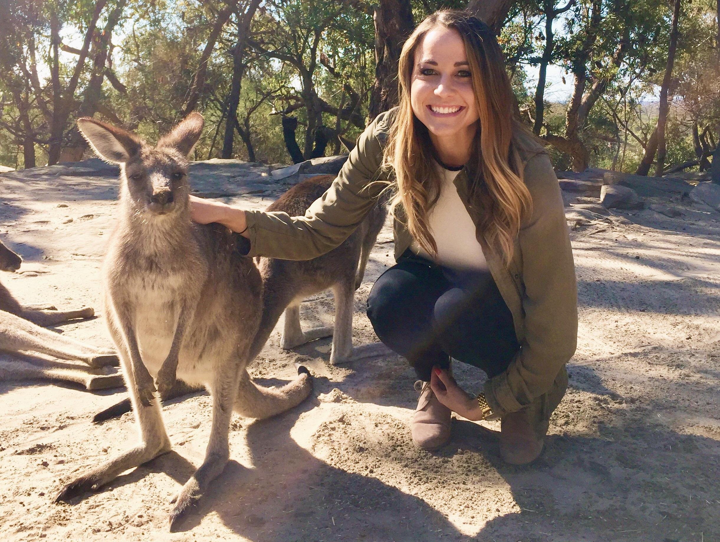 Hunter Valley Wine & Wildlife Day Tour from Sydney