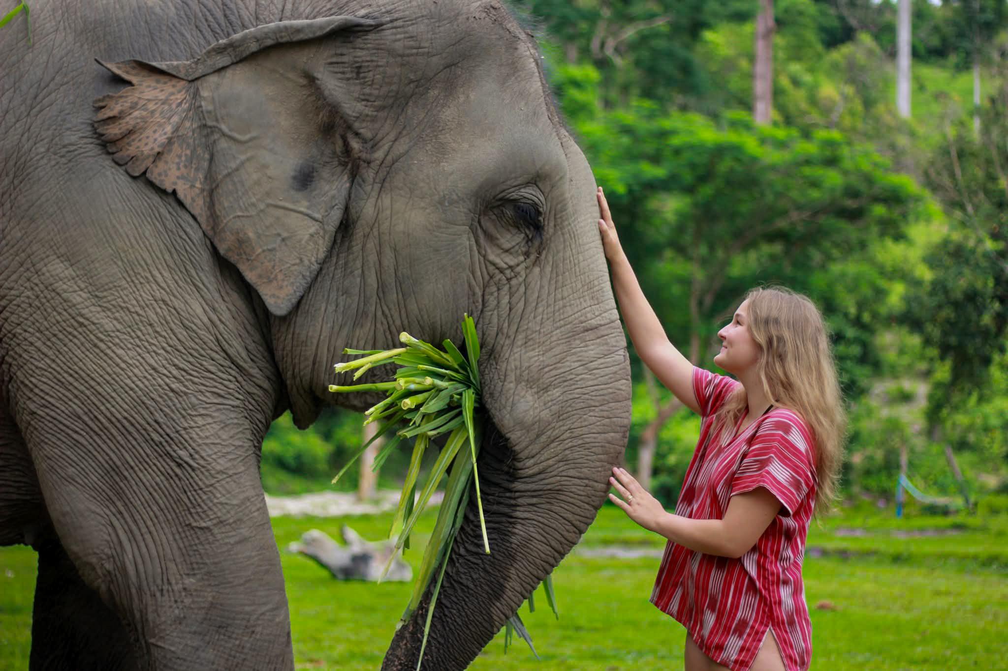 Mae Wang Jungle Trek, Elephant Encounter & Bamboo Rafting
