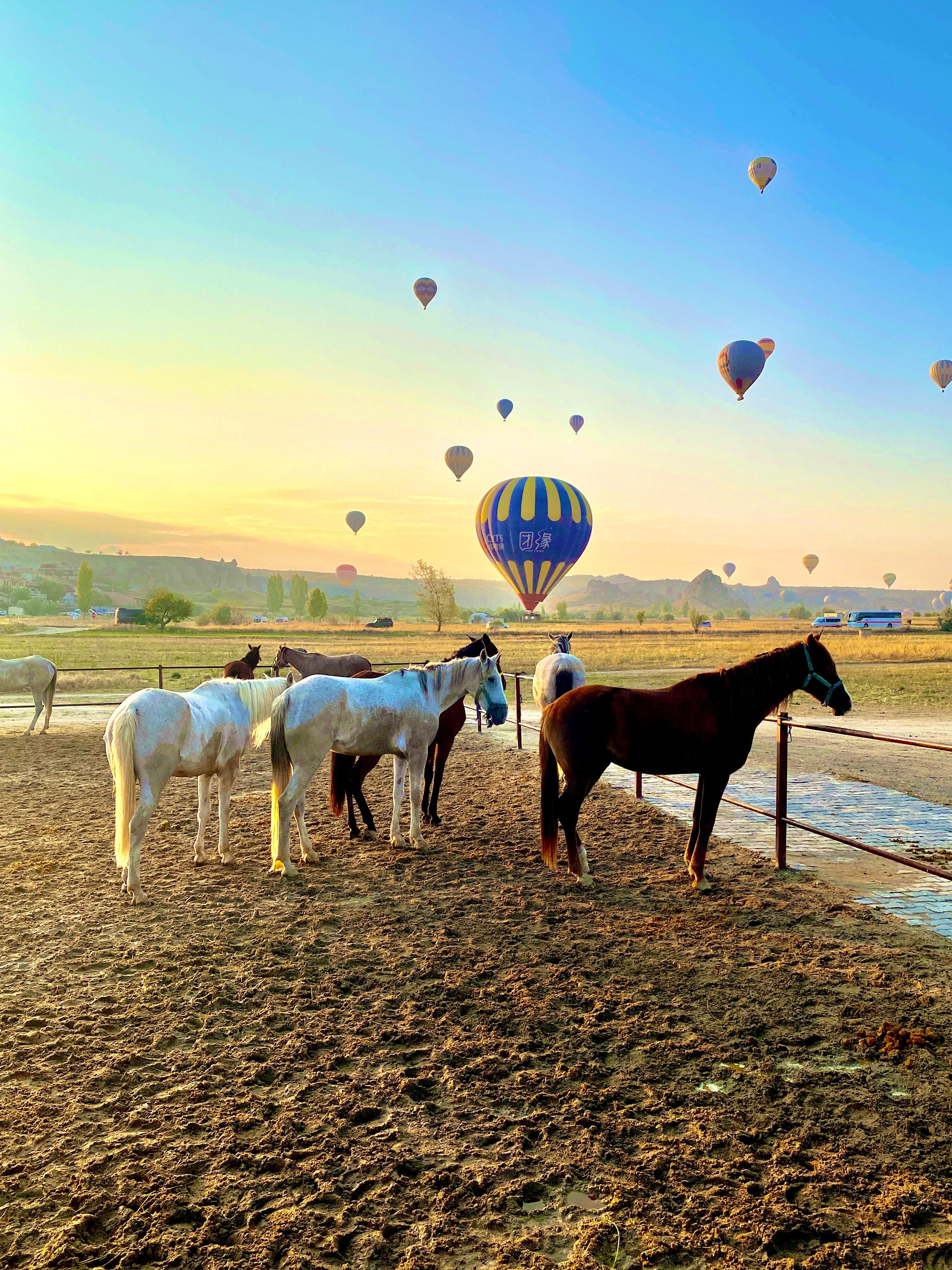 Cappadocia Scenic Valley Horseback Riding Tour