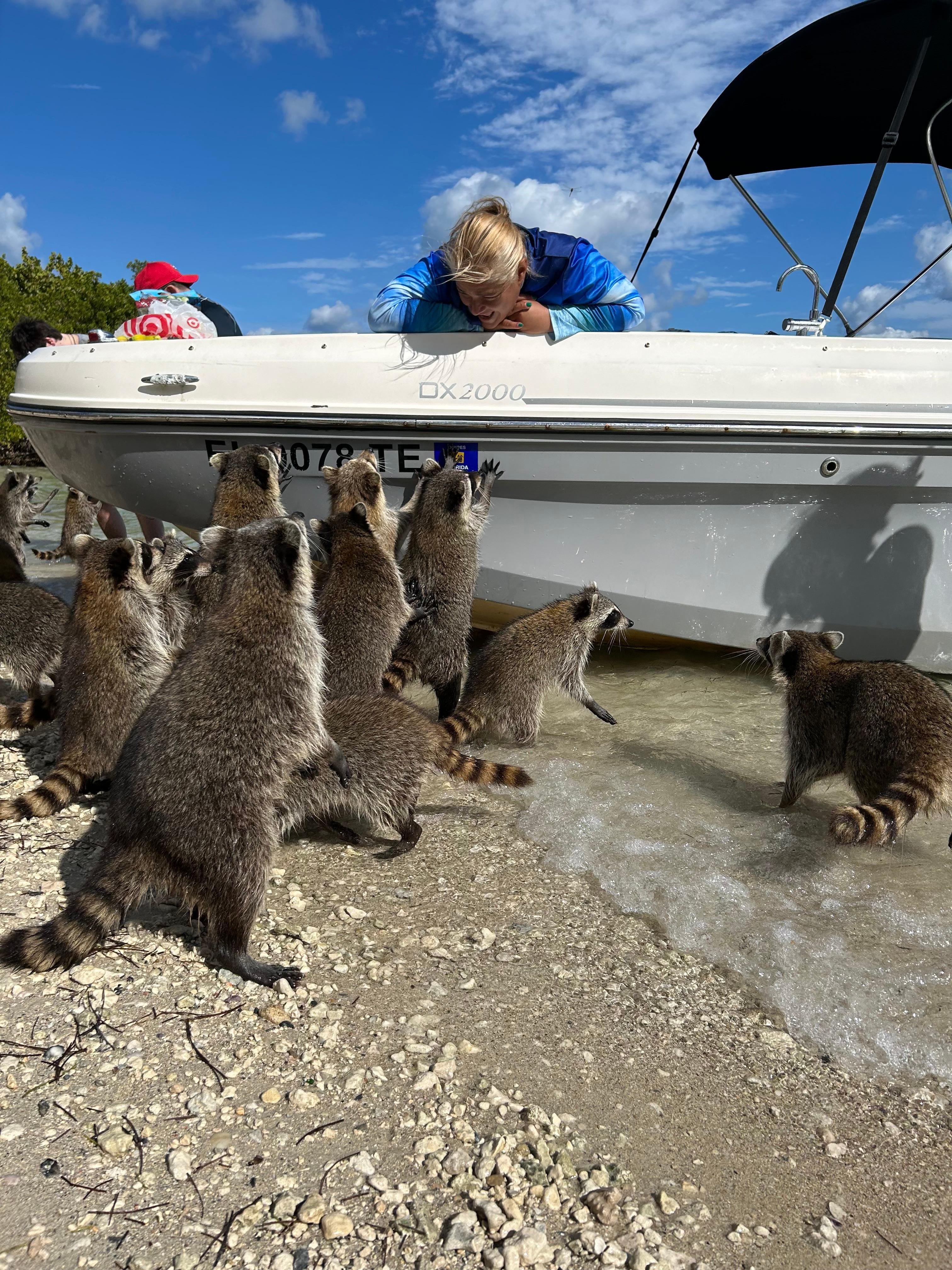 Biscayne Bay Wildlife Safari to Raccoon Island
