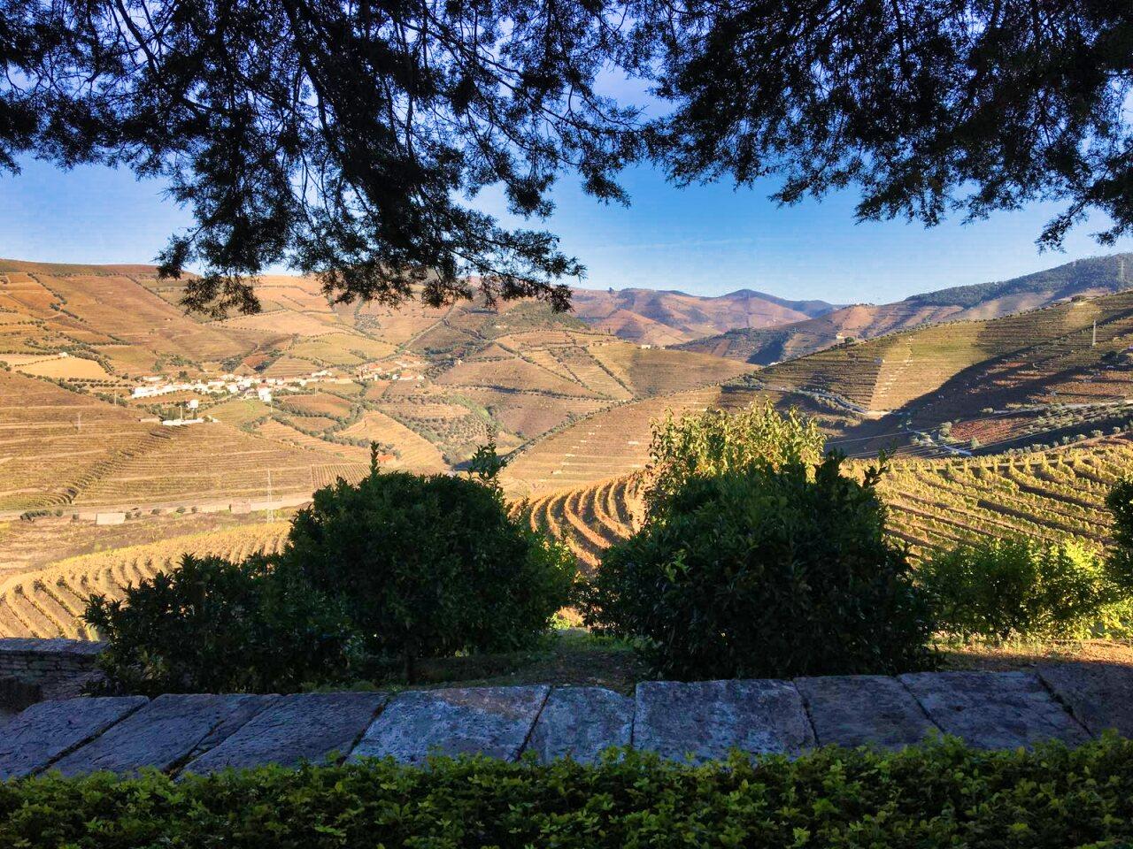 Douro Valley Private Day Tour: Twin Vineyard Visits & River Cruise from Porto