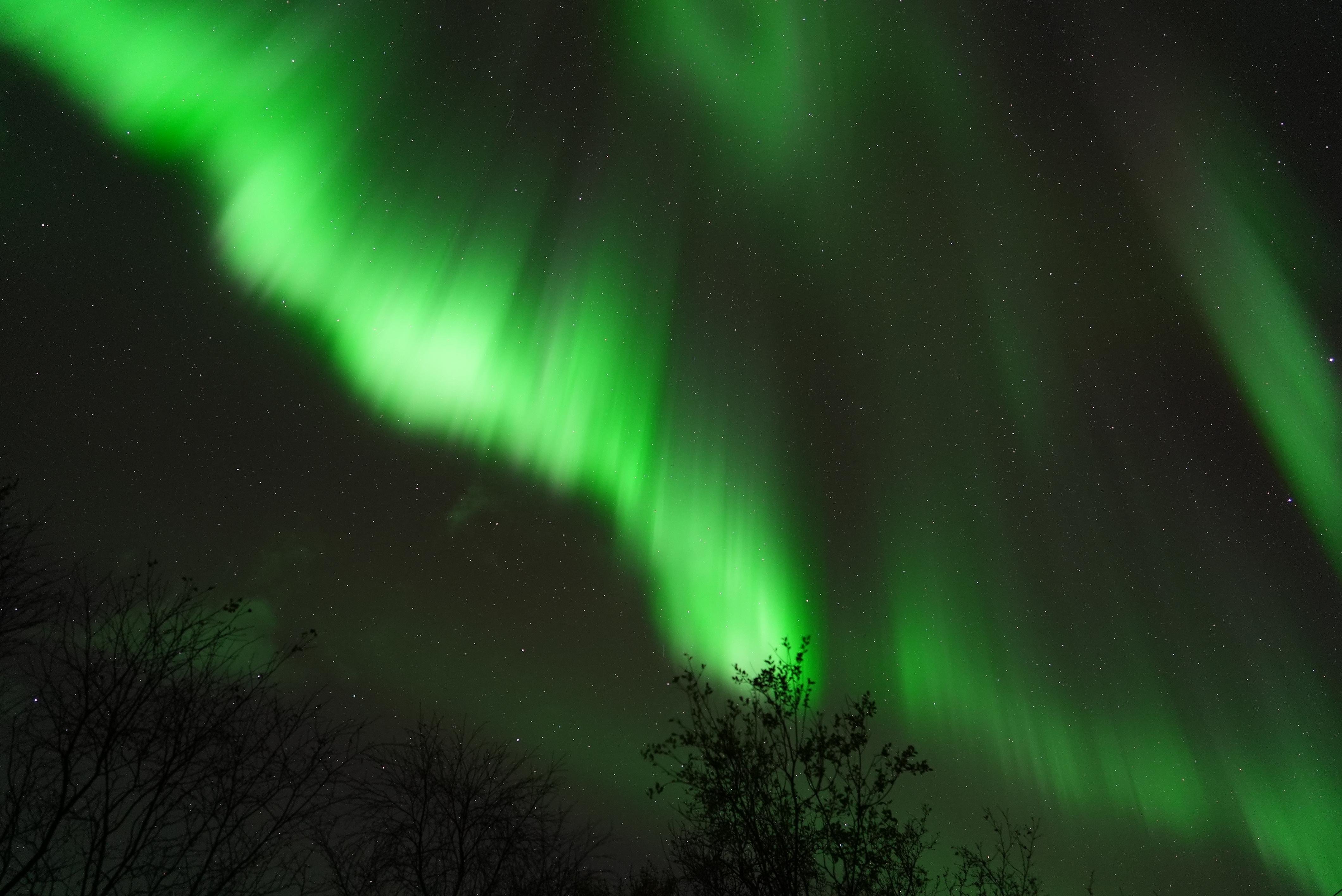 Northern lights chase from Tromsø — image 29