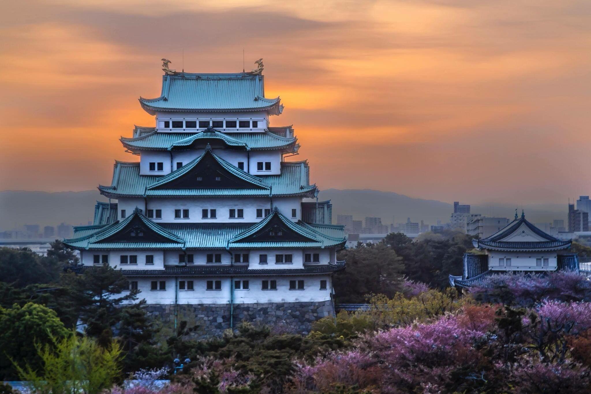 Private 10-Hour Customizable Nagoya Car Charter