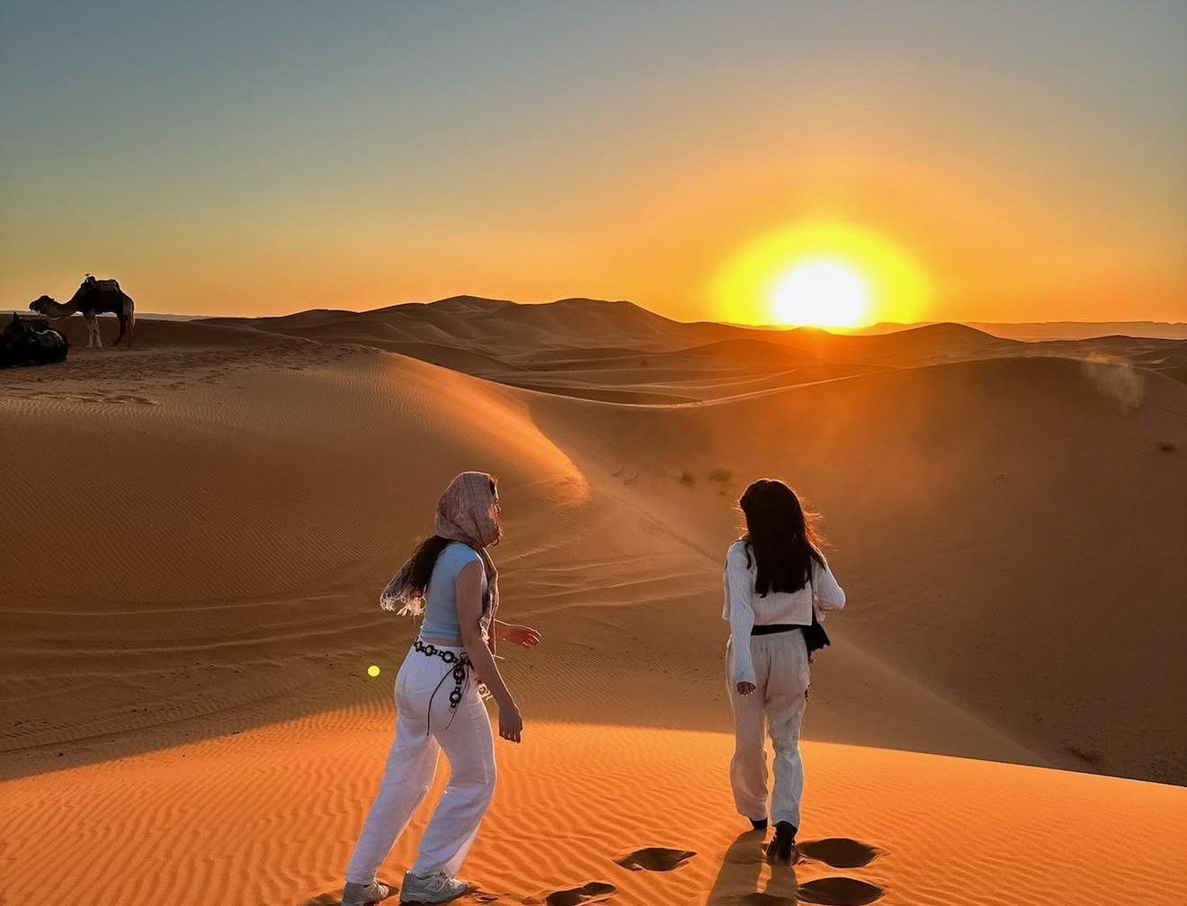 Doha Desert Safari: Sunset Dune Bashing, Camel Ride & Sandboarding