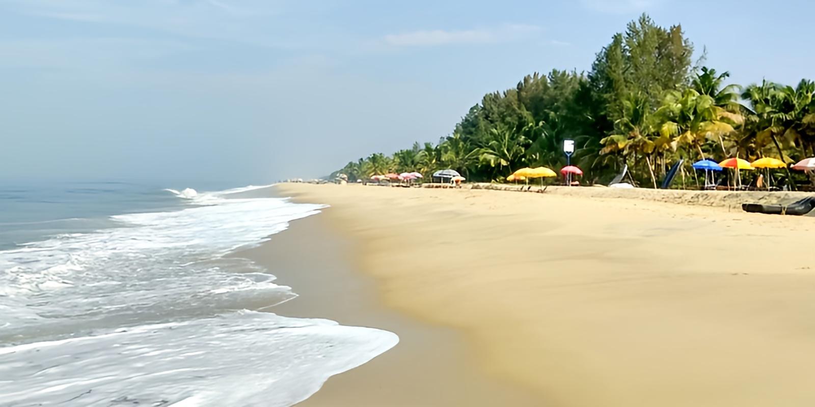Private Kerala Highlights: Alleppey Backwaters & Fort Kochi Tour