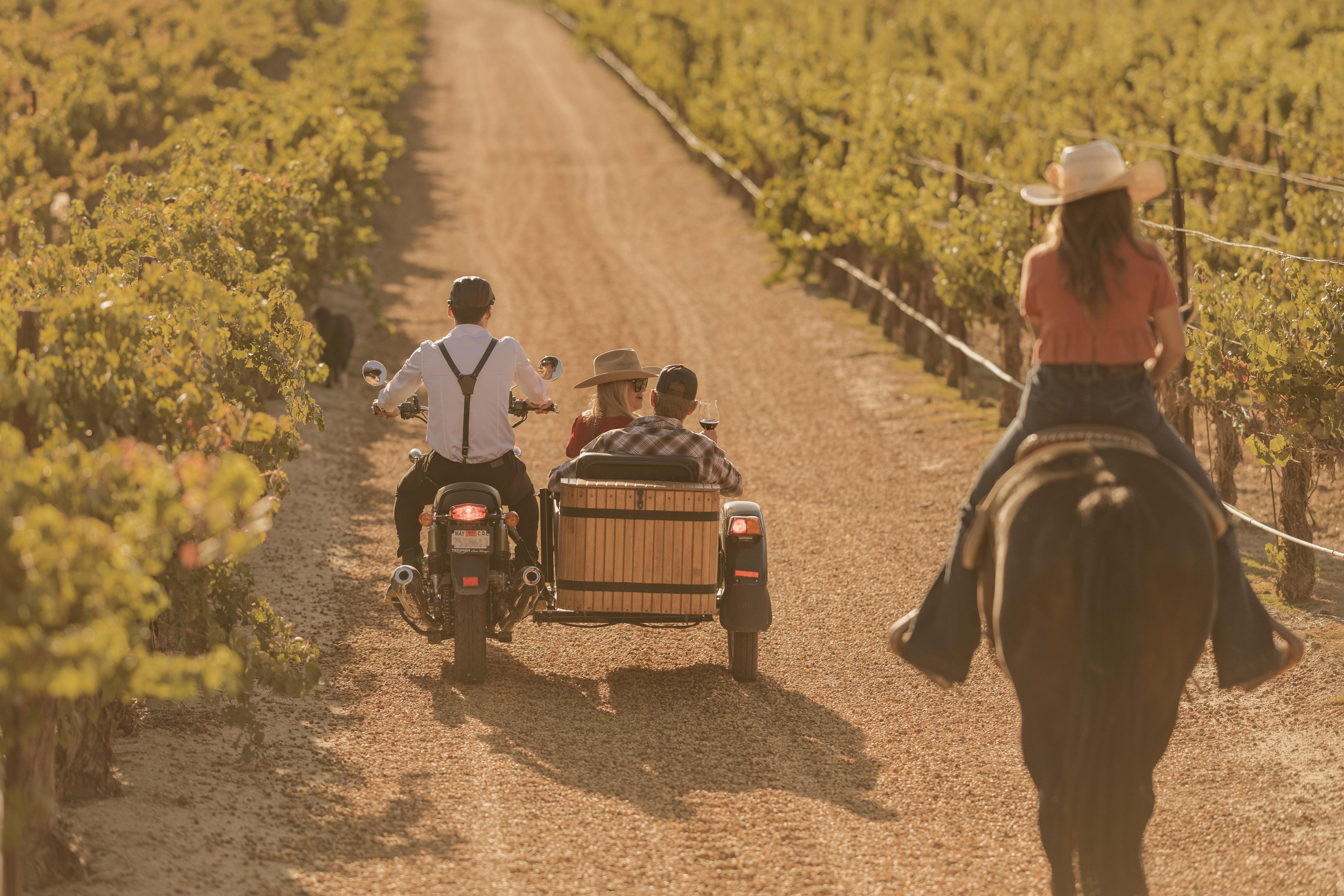 Sidecar Wine Country Adventure