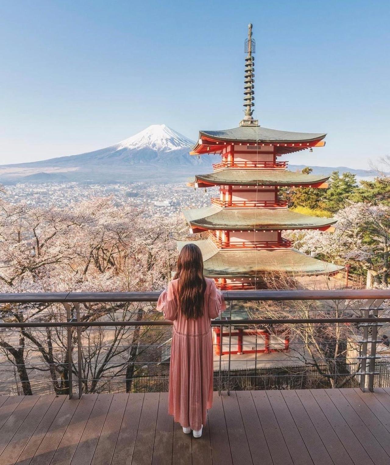 Private Mount Fuji Day Tour from Tokyo