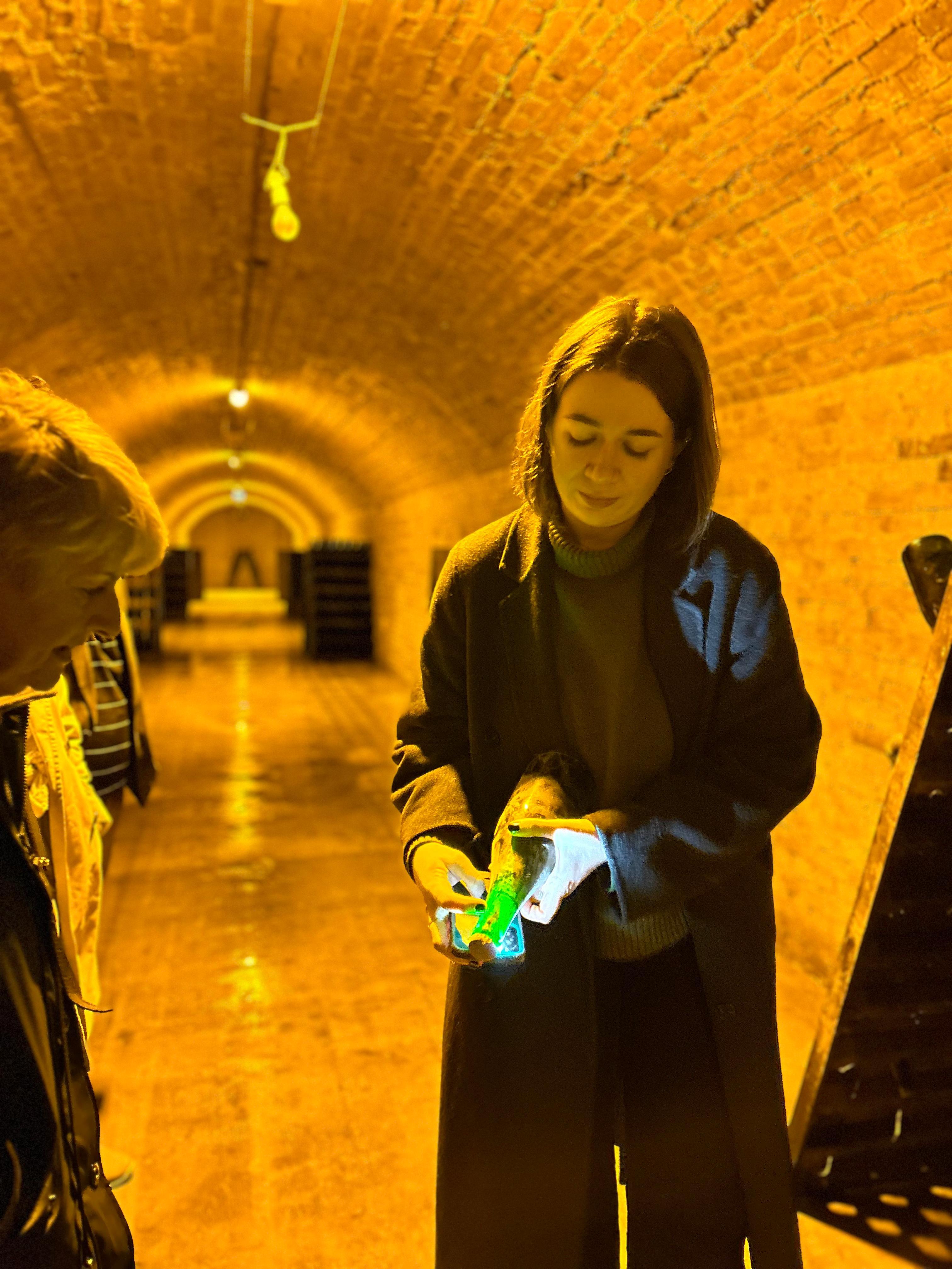 Moët & Chandon Champagne tour — Avenue de Champagne, 28 km chalk cellars, riddling racks, Dom Pérignon — image 7