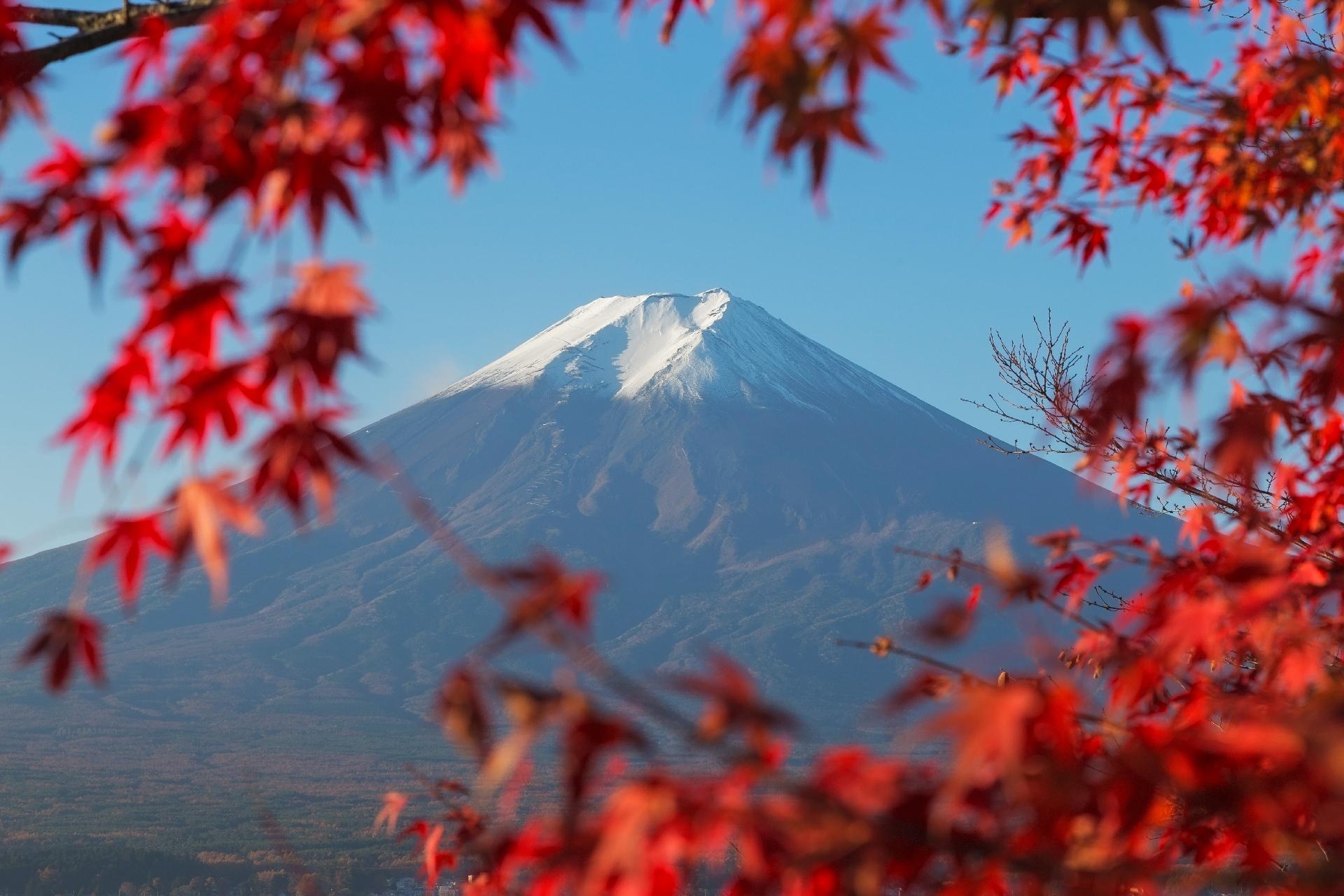 Mt Fuji day trip from Tokyo — image 24